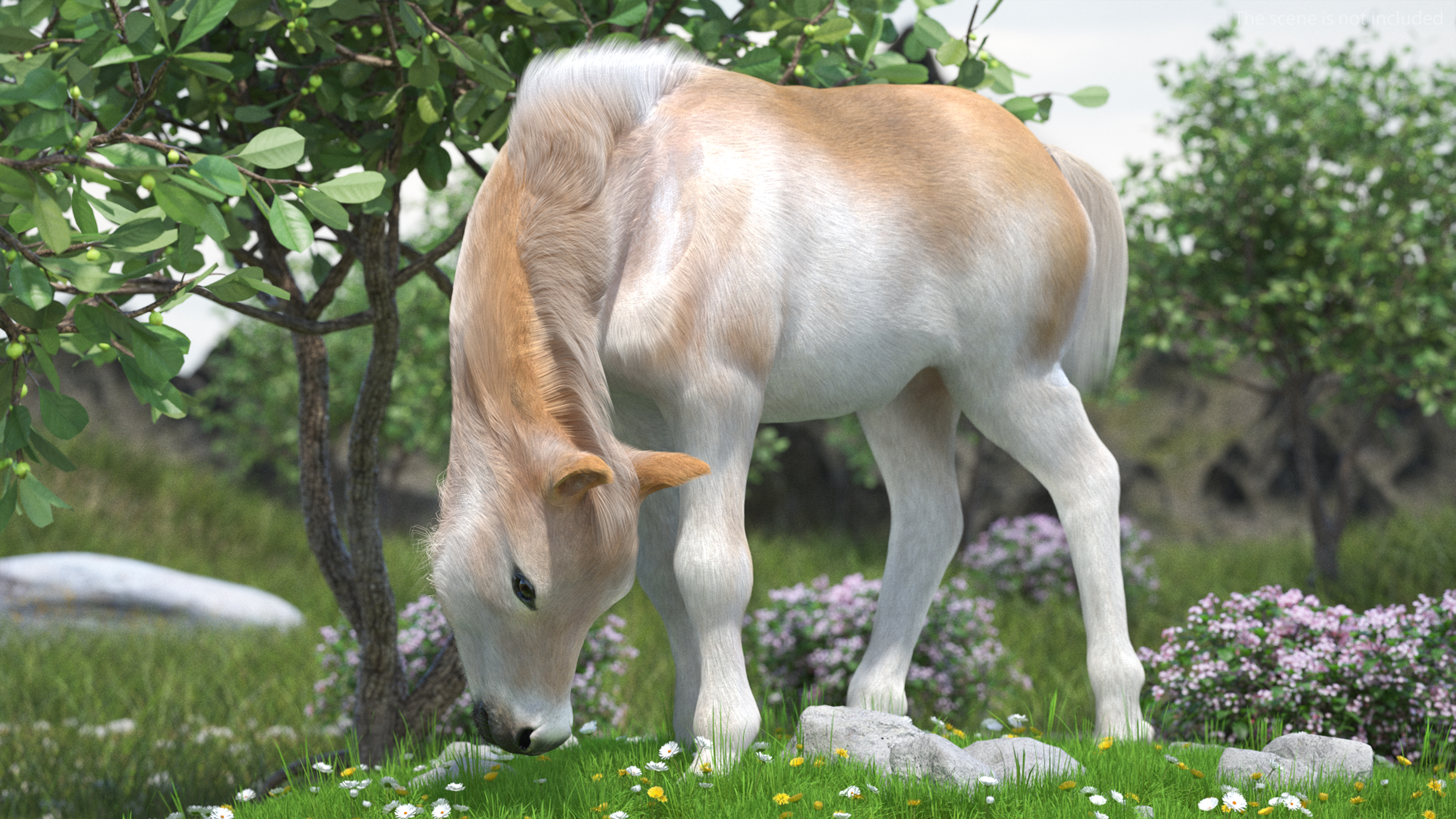Realistic Shetland Pony Fur Rigged 3D model