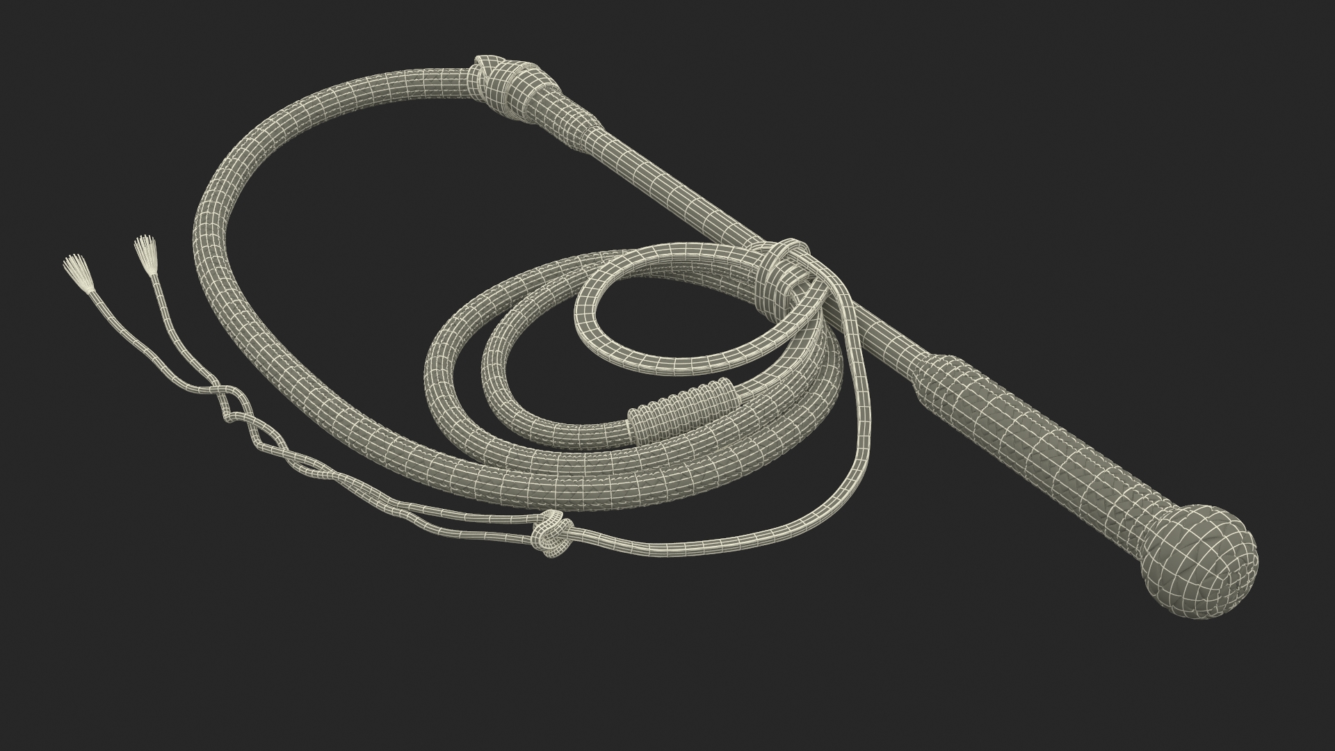Historical Leather Whip Braided Black 3D