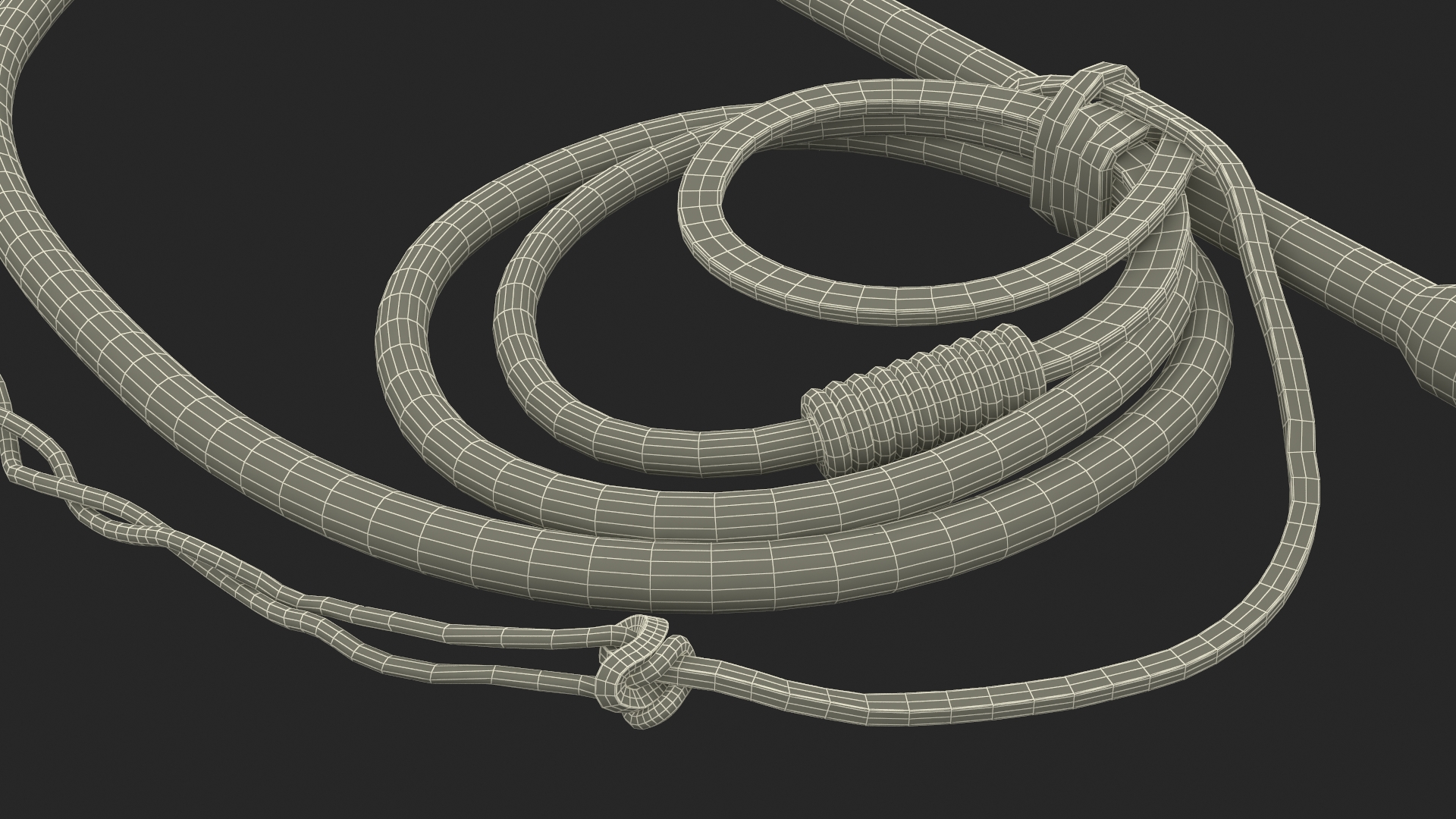 Historical Leather Whip Braided Black 3D