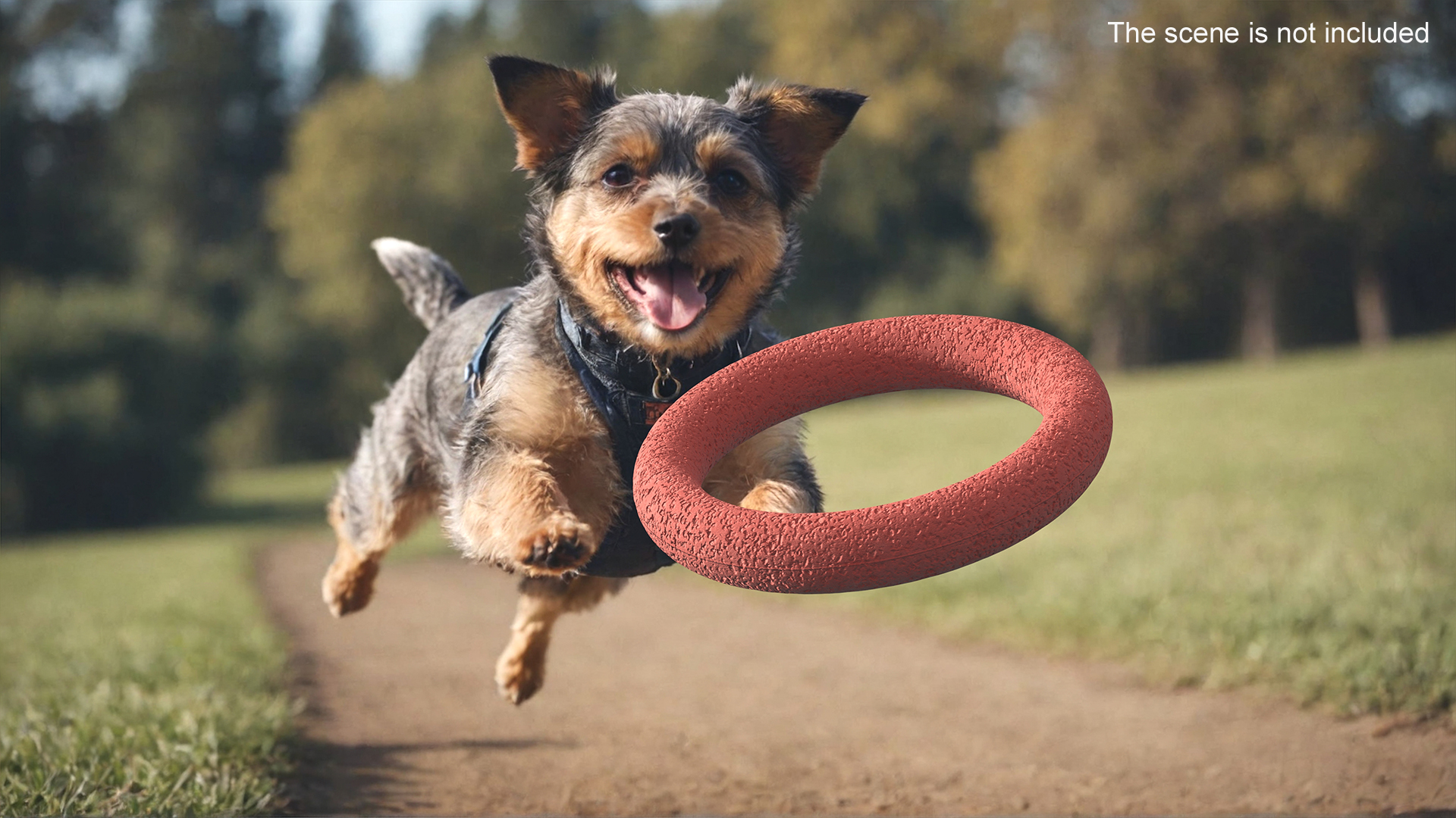 Ring Dog Toy Used 3D
