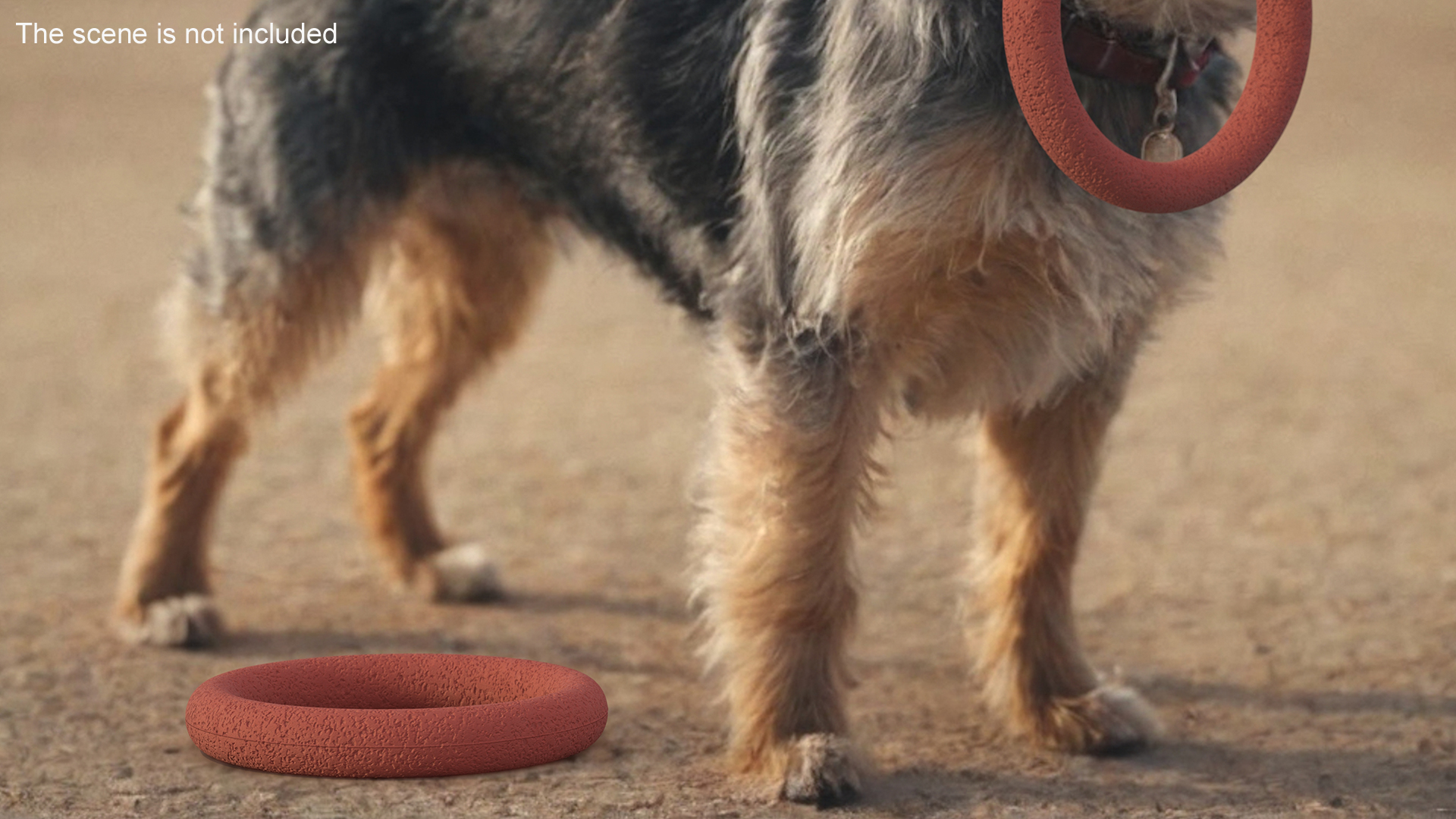 Ring Dog Toy Used 3D