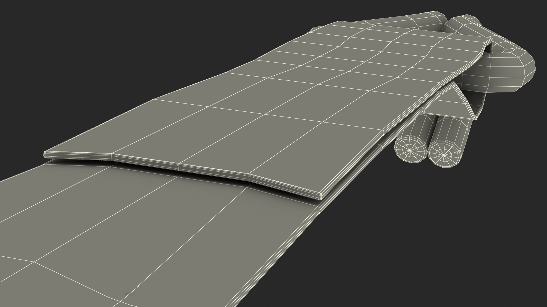 Strap Belt Folded 3D