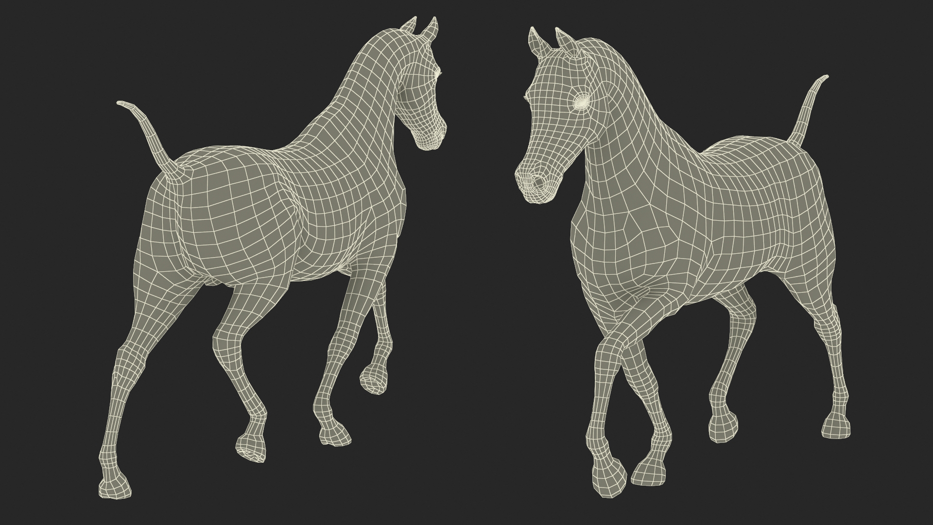 3D Walking Arabian Horse Gray Dappled Fur model