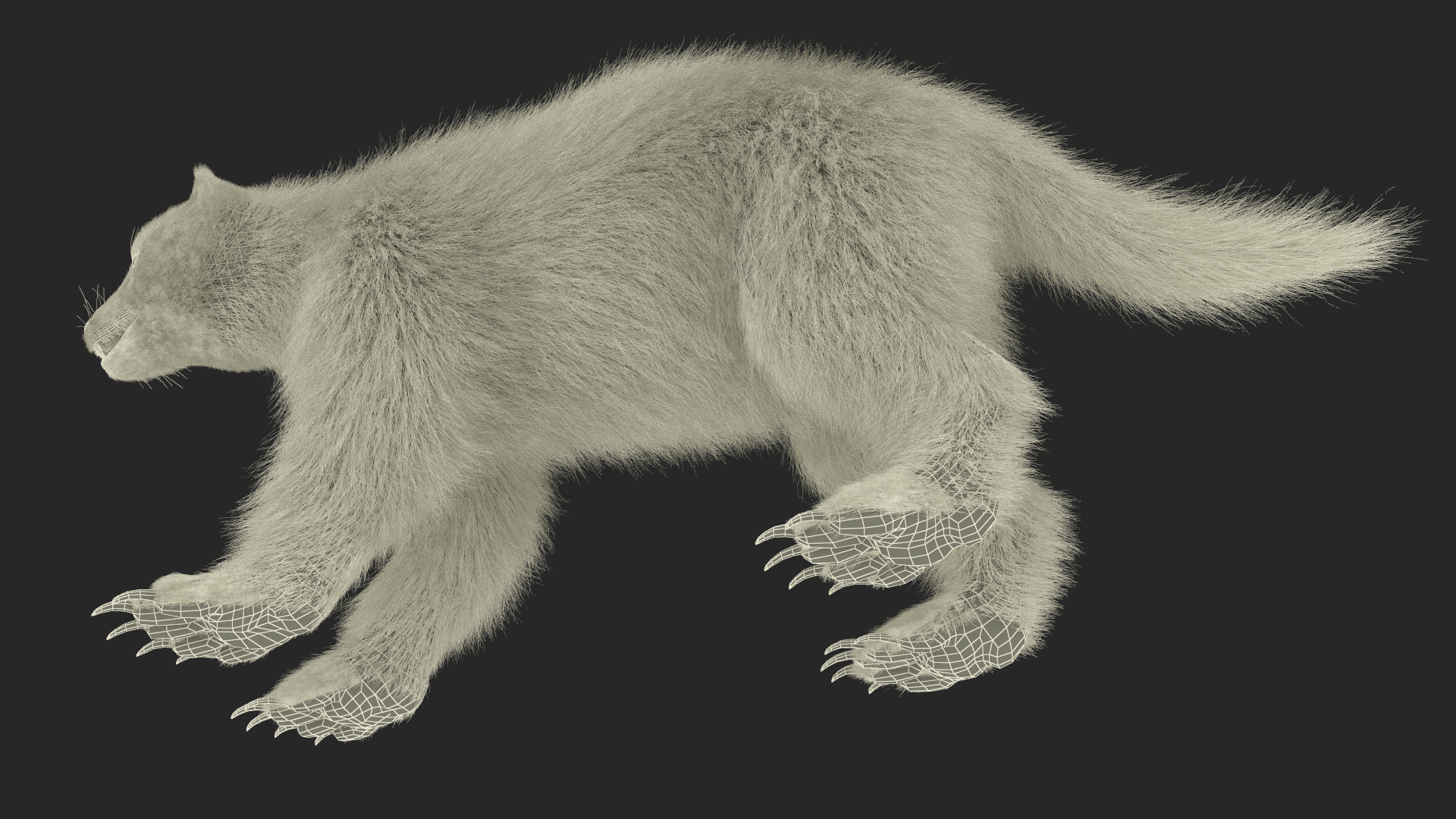 Wolverine Dark Color Fur 3D model
