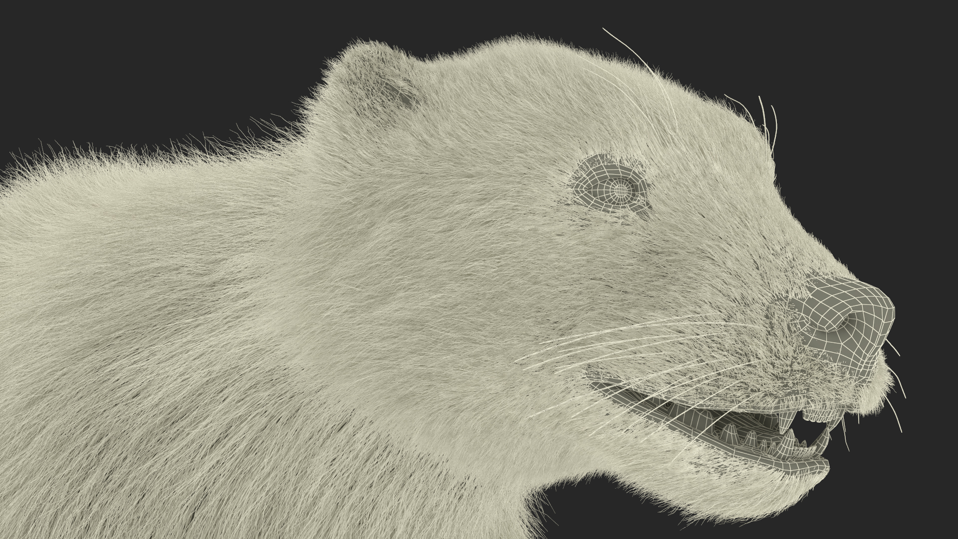 Wolverine Dark Color Fur 3D model