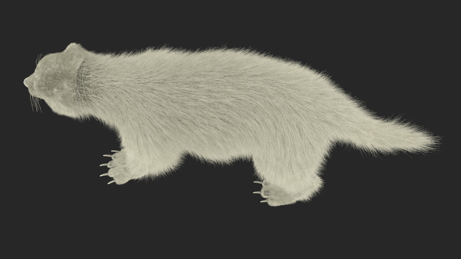 Wolverine Dark Color Fur 3D model
