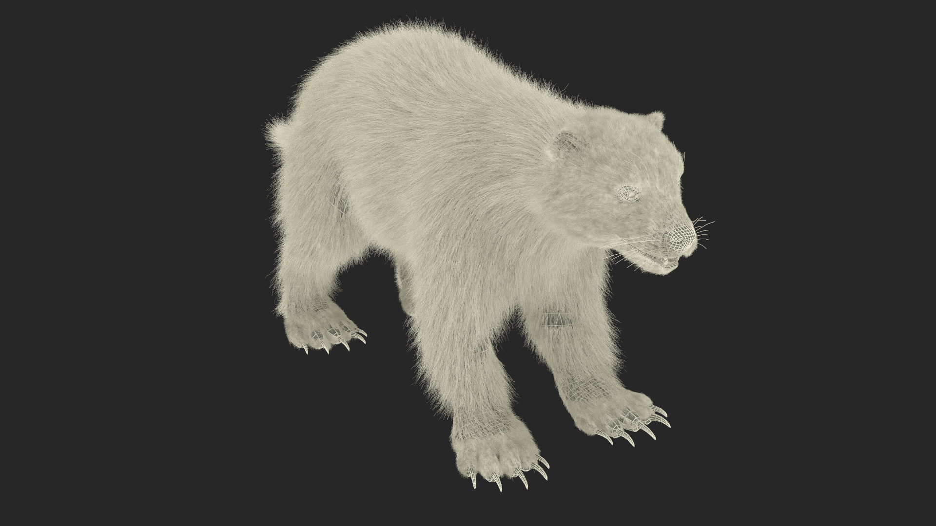 Wolverine Dark Color Fur 3D model