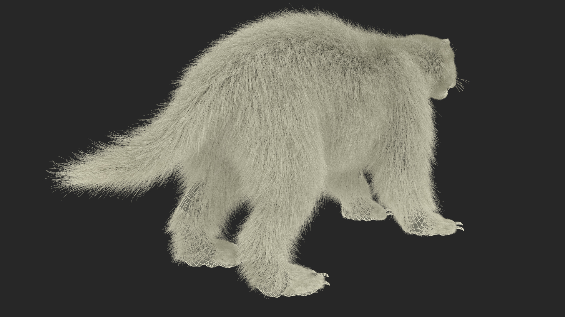 Wolverine Dark Color Fur 3D model