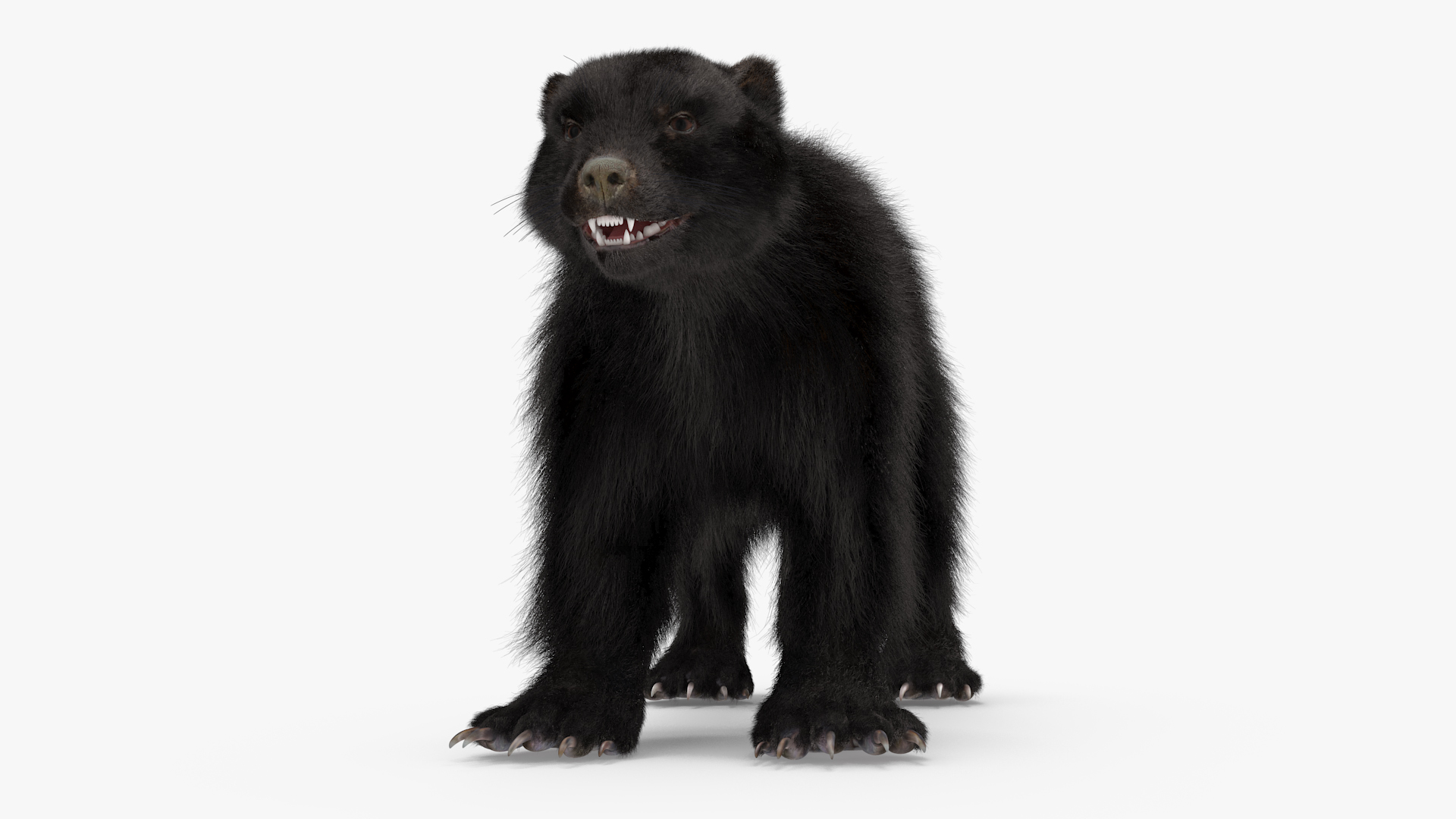 Wolverine Dark Color Fur 3D model