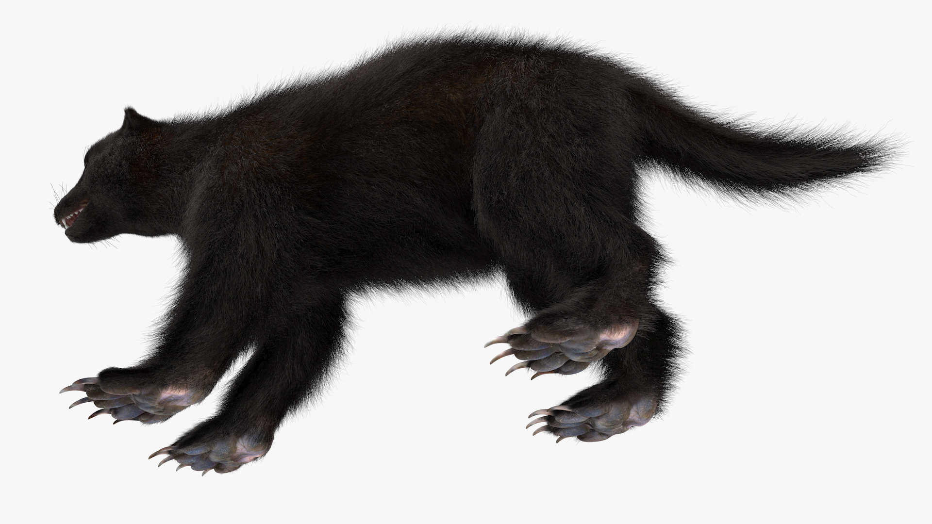 Wolverine Dark Color Fur 3D model