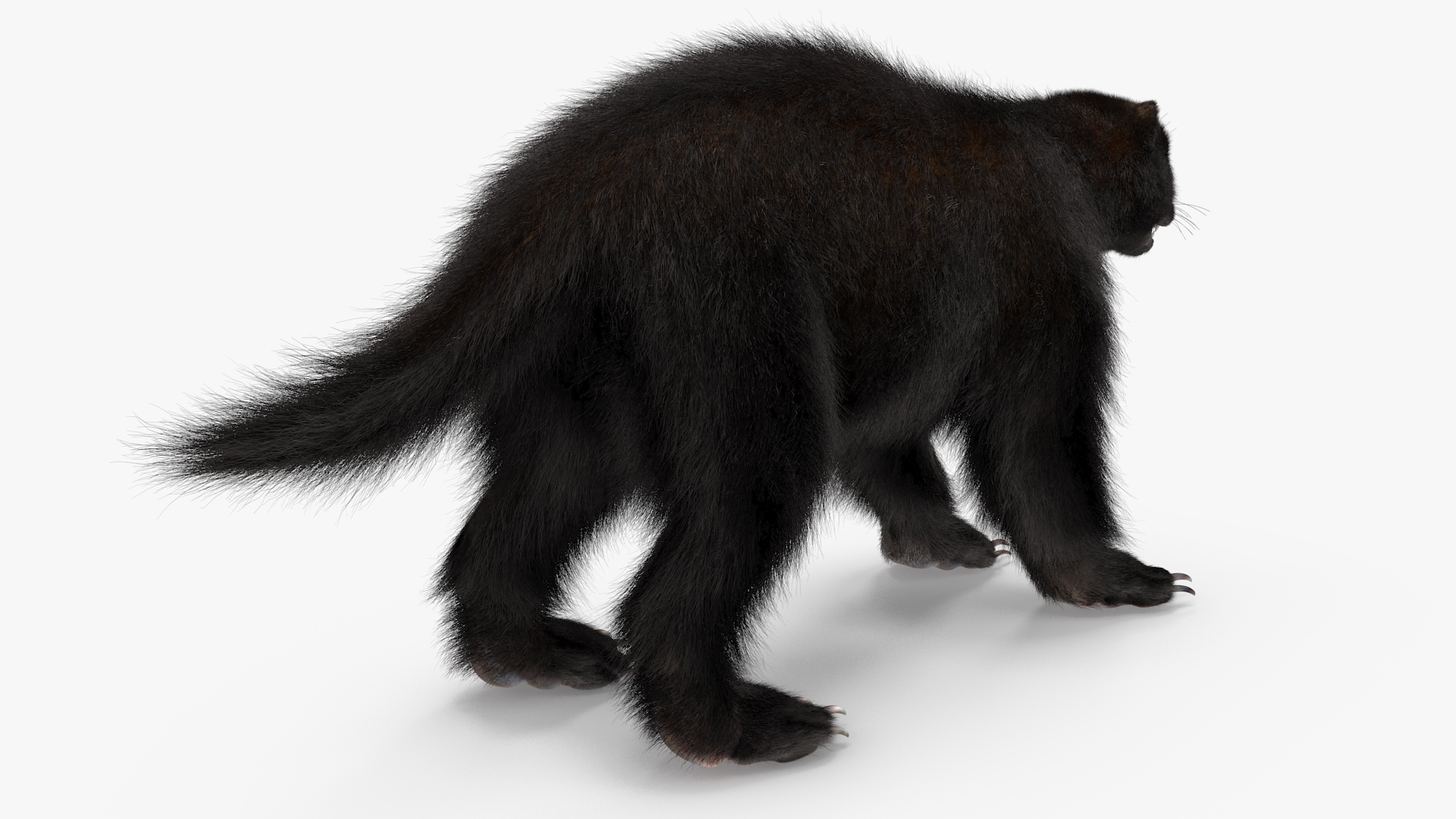 Wolverine Dark Color Fur 3D model