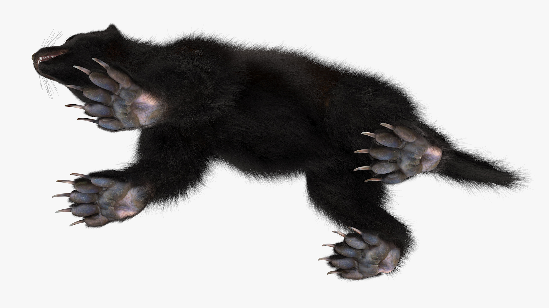 Wolverine Dark Color Fur 3D model