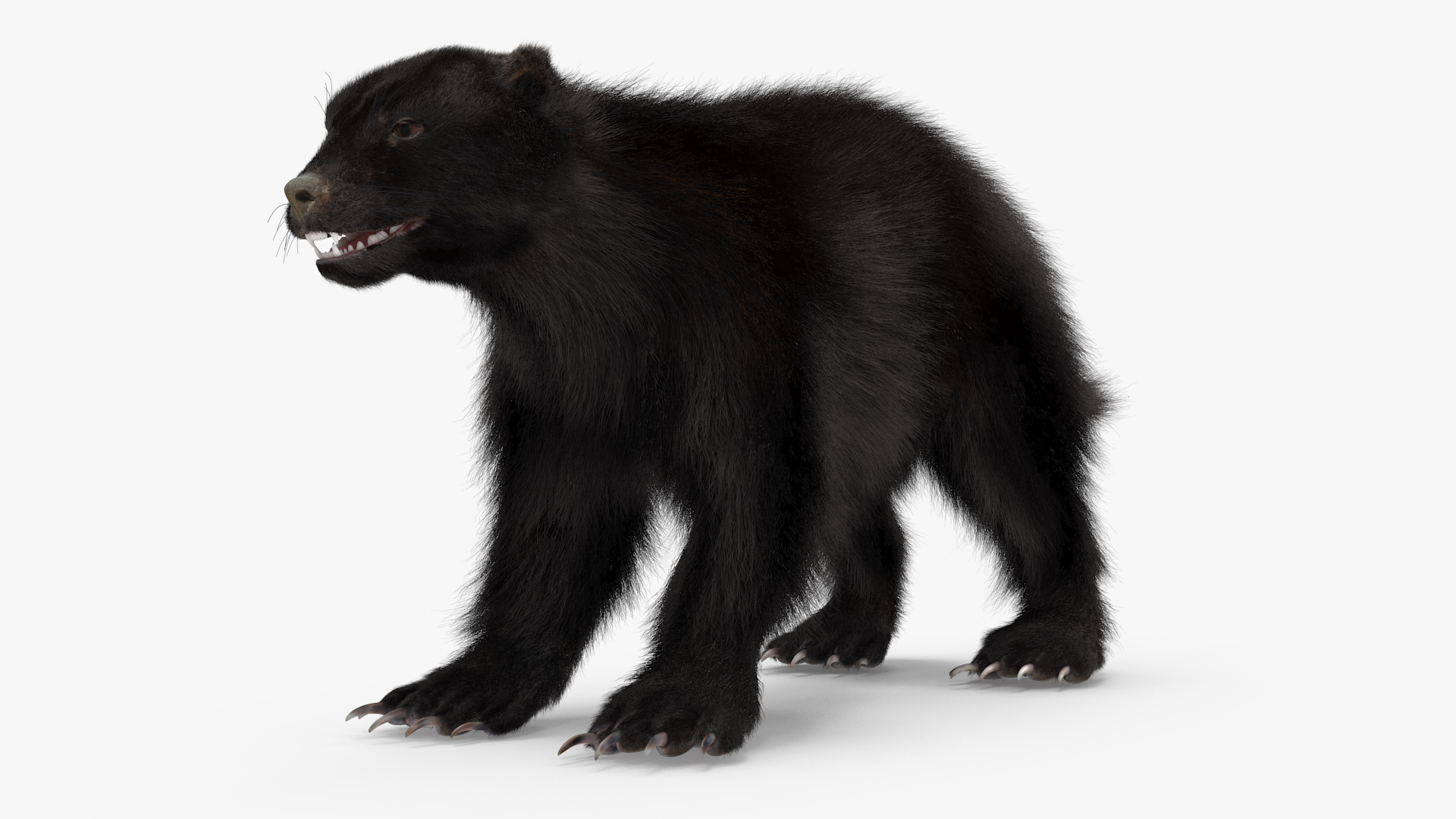 Wolverine Dark Color Fur 3D model