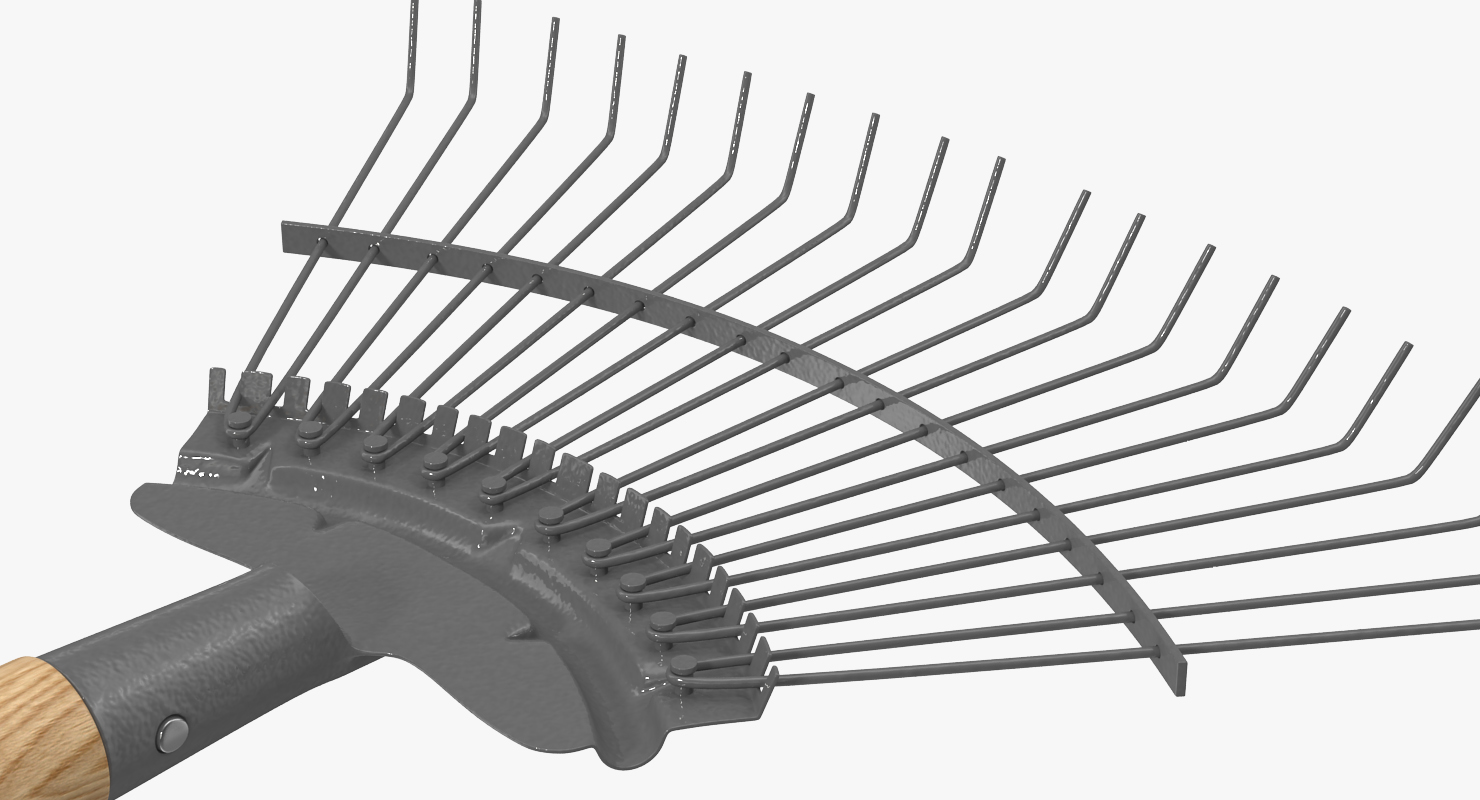 Springbok Lawn Rake Generic 3D