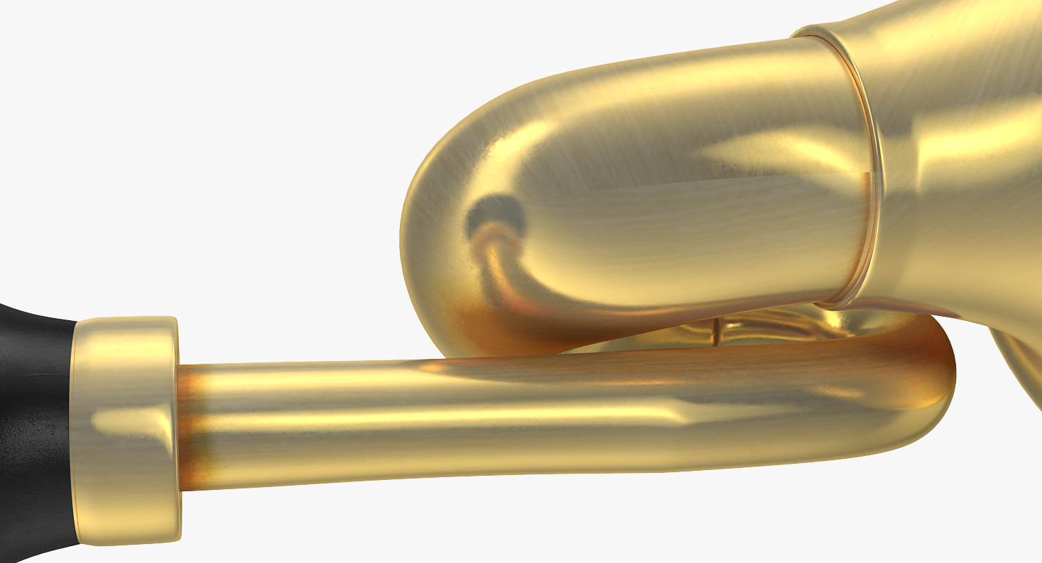 3D model Brass Taxi Horn