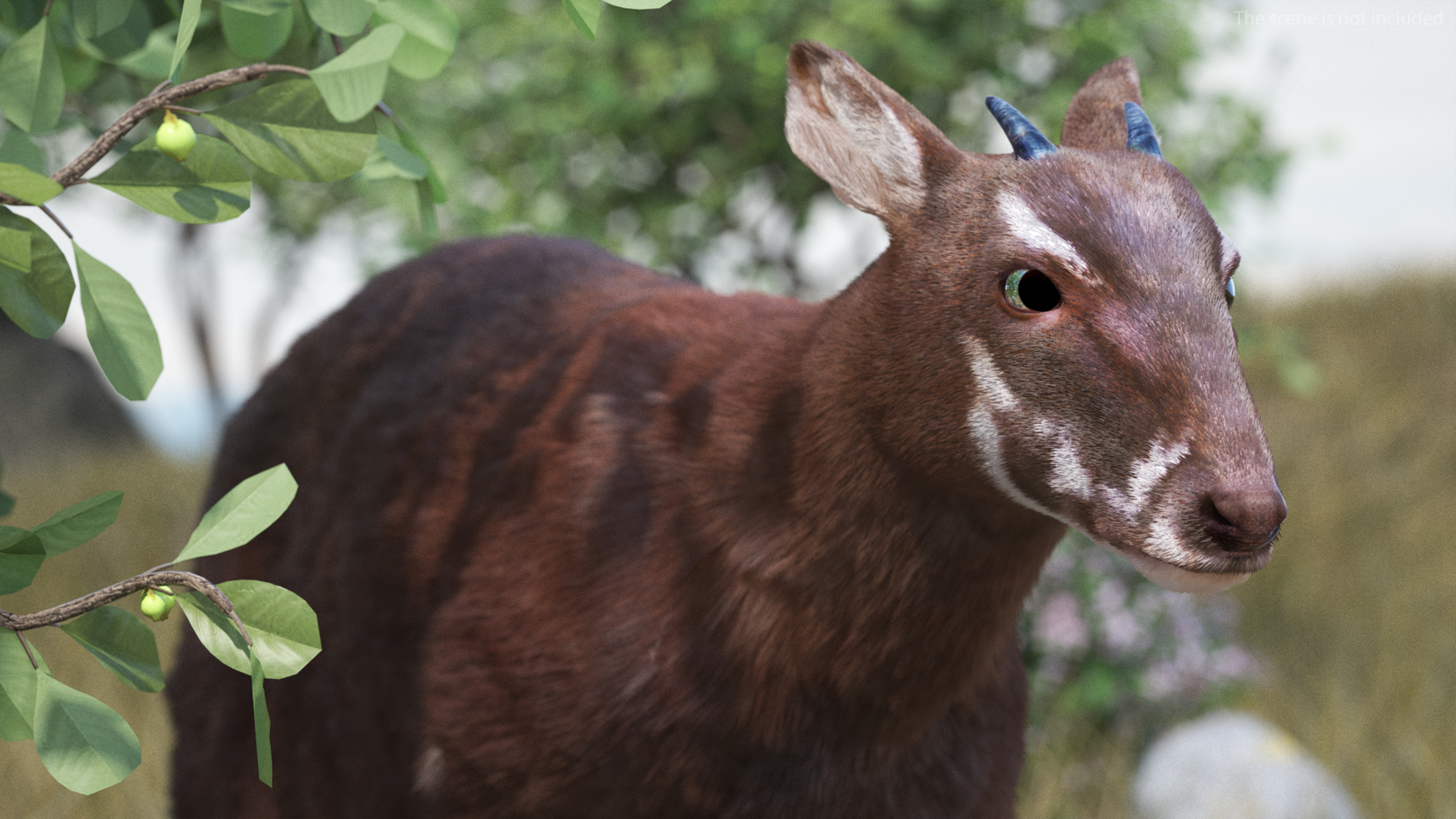 Saola Walking Pose Fur 3D