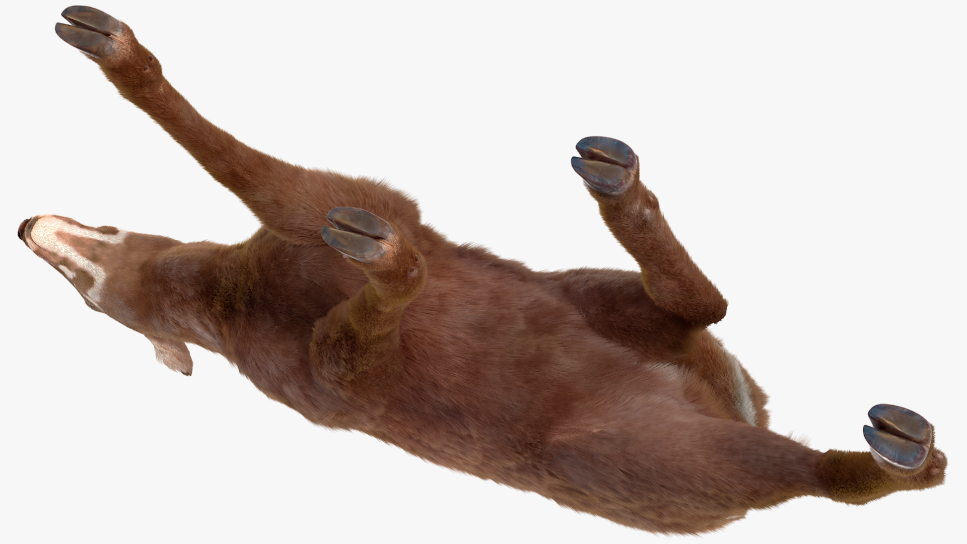 Saola Walking Pose Fur 3D