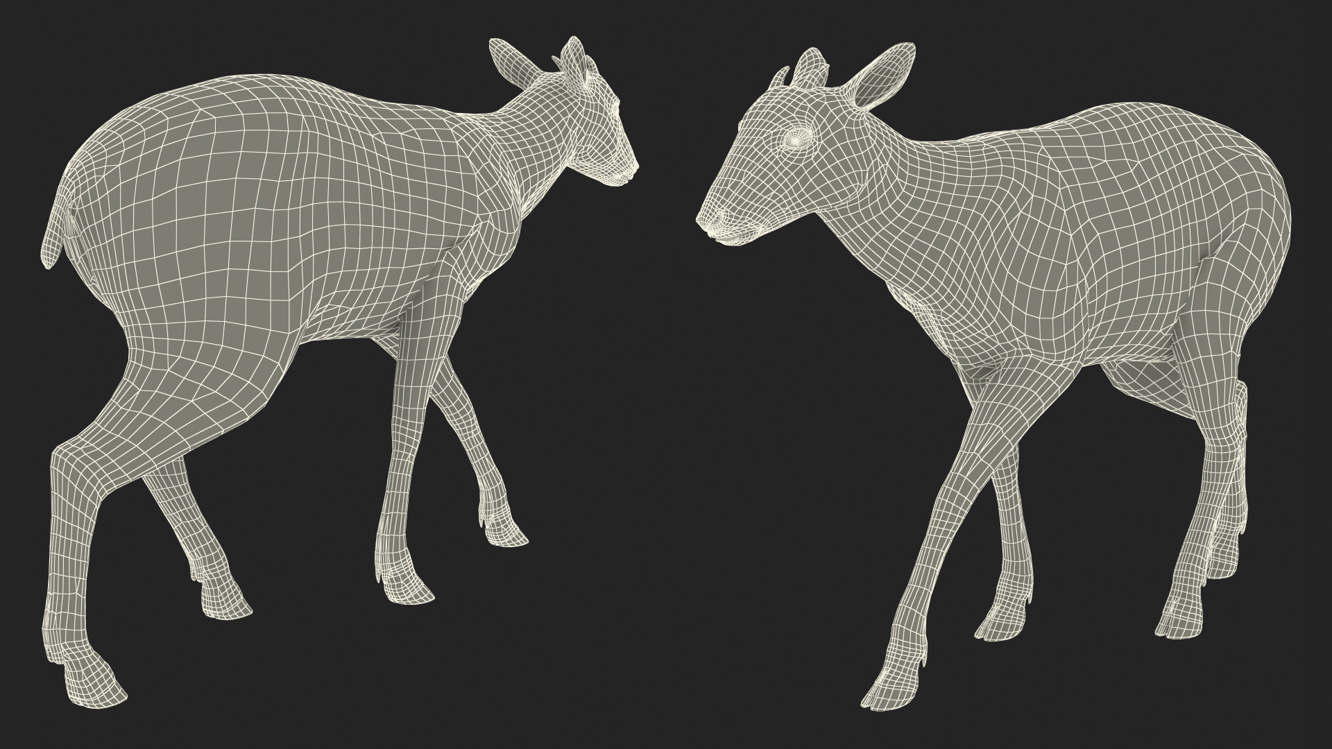 Saola Walking Pose Fur 3D