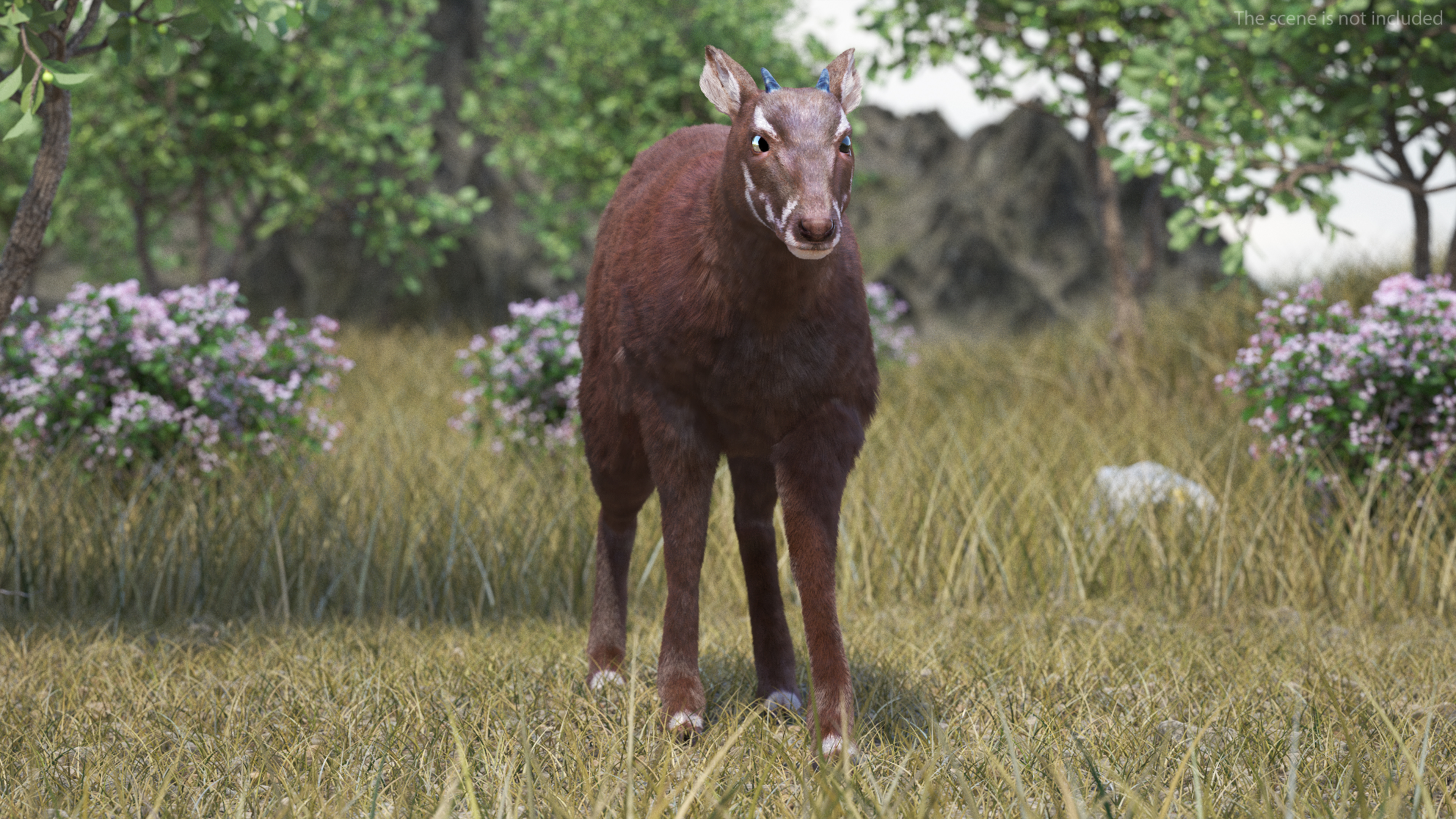 Saola Walking Pose Fur 3D
