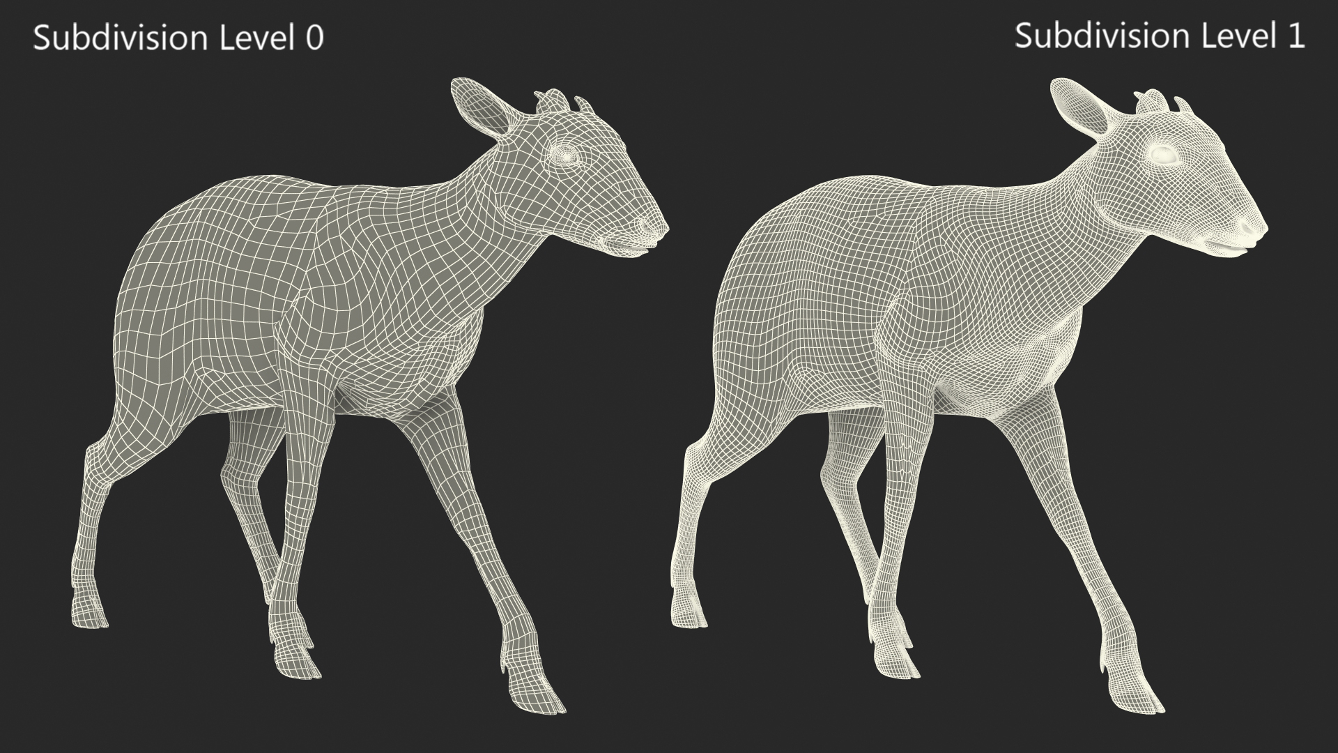 Saola Walking Pose Fur 3D