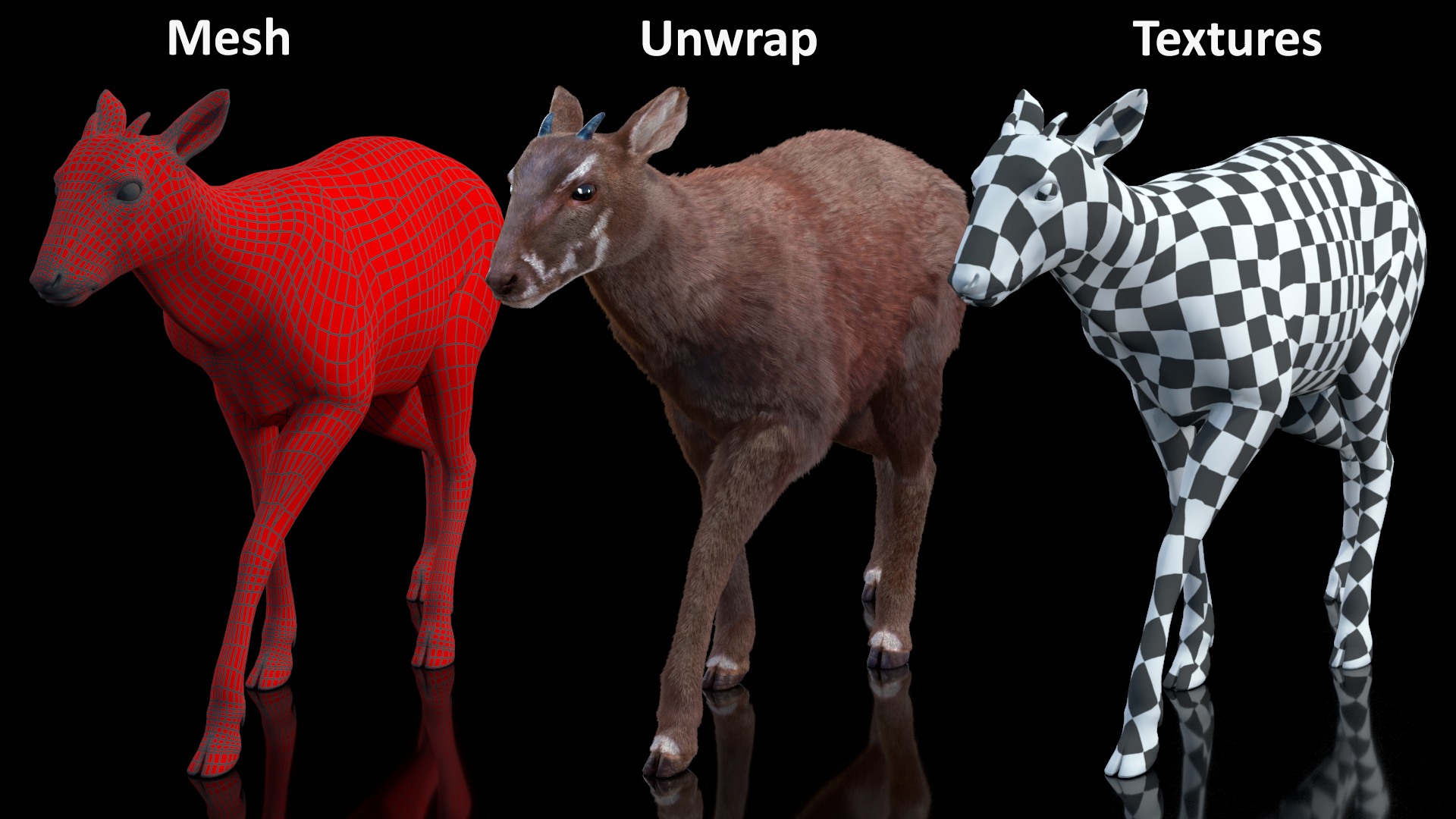 Saola Walking Pose Fur 3D