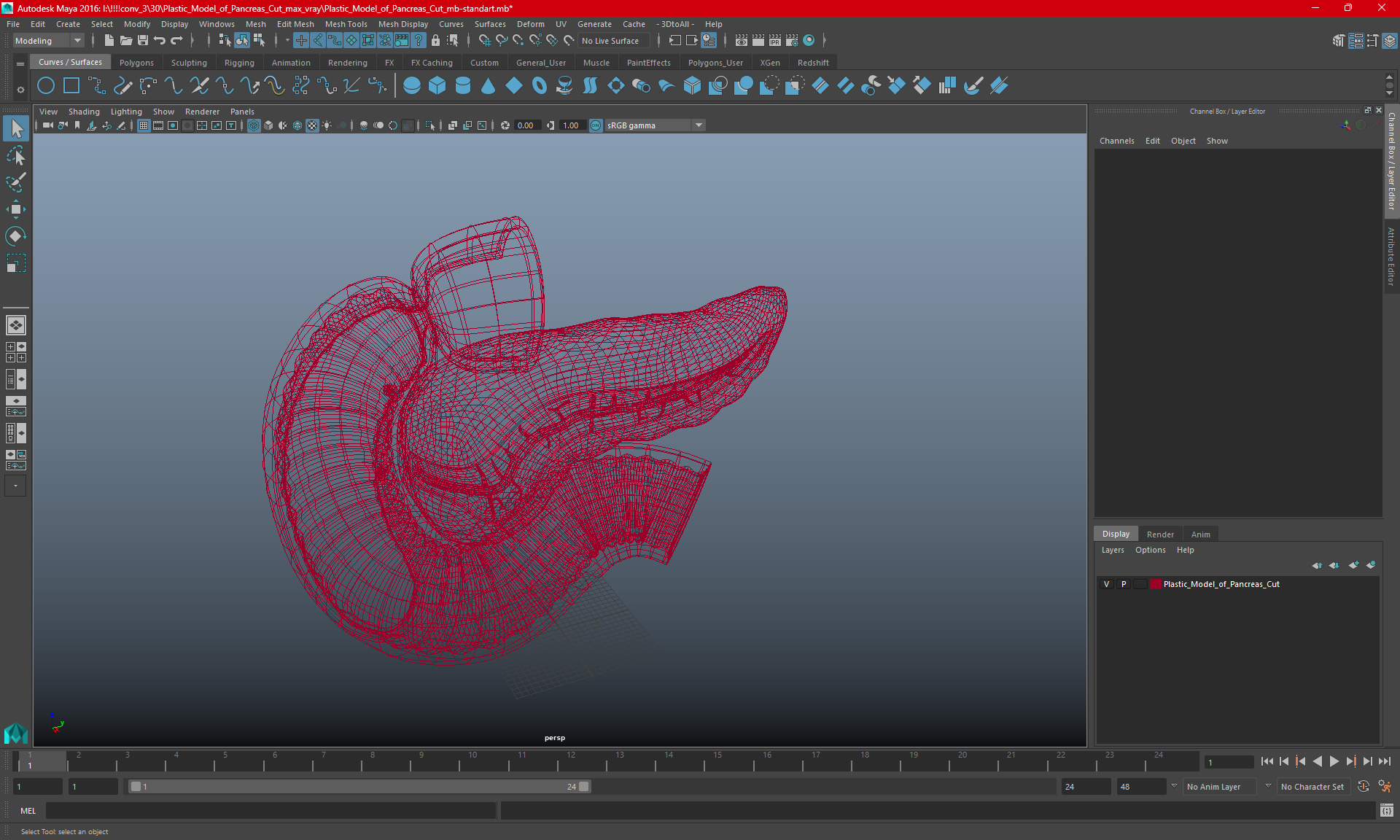 Plastic Model of Pancreas Cut 3D model
