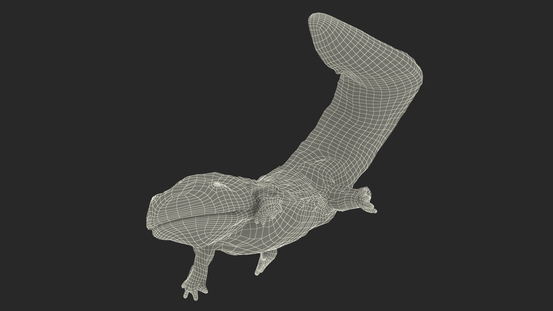 Aquatic Giant Salamander Light Swimming 3D model