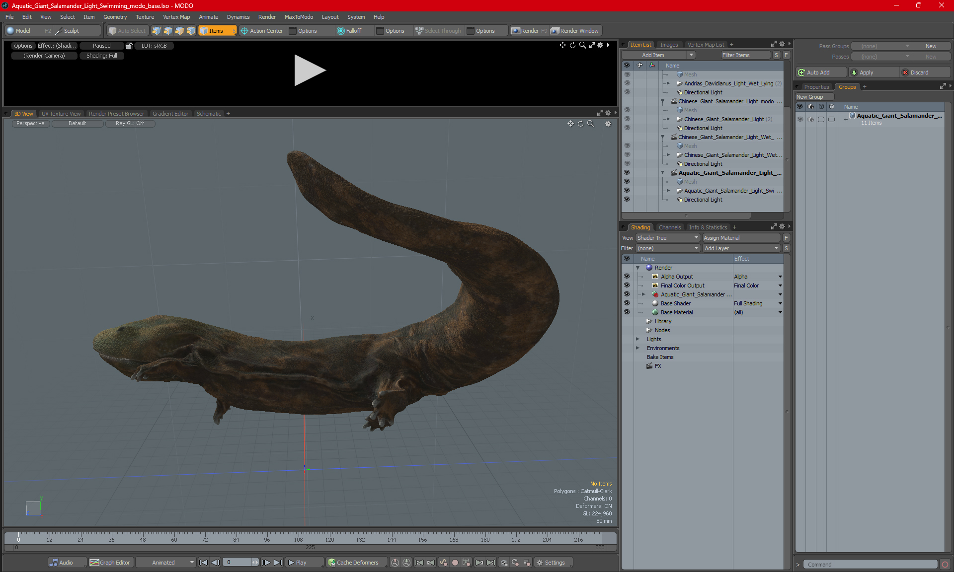 Aquatic Giant Salamander Light Swimming 3D model