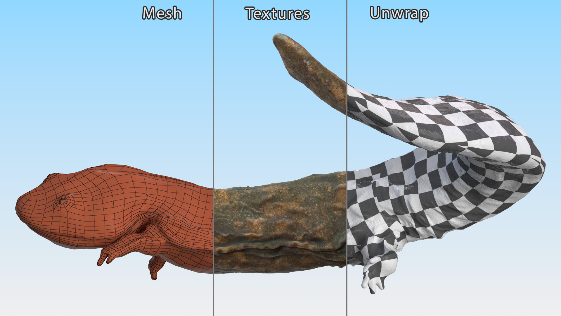 Aquatic Giant Salamander Light Swimming 3D model
