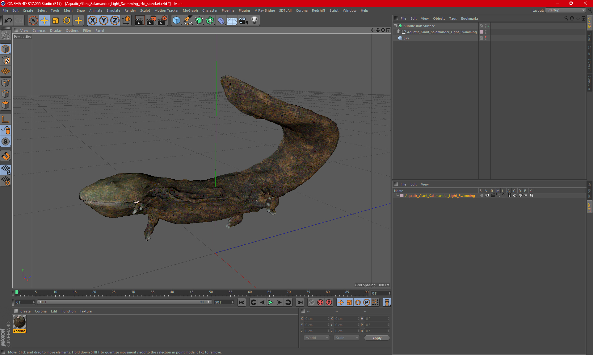 Aquatic Giant Salamander Light Swimming 3D model