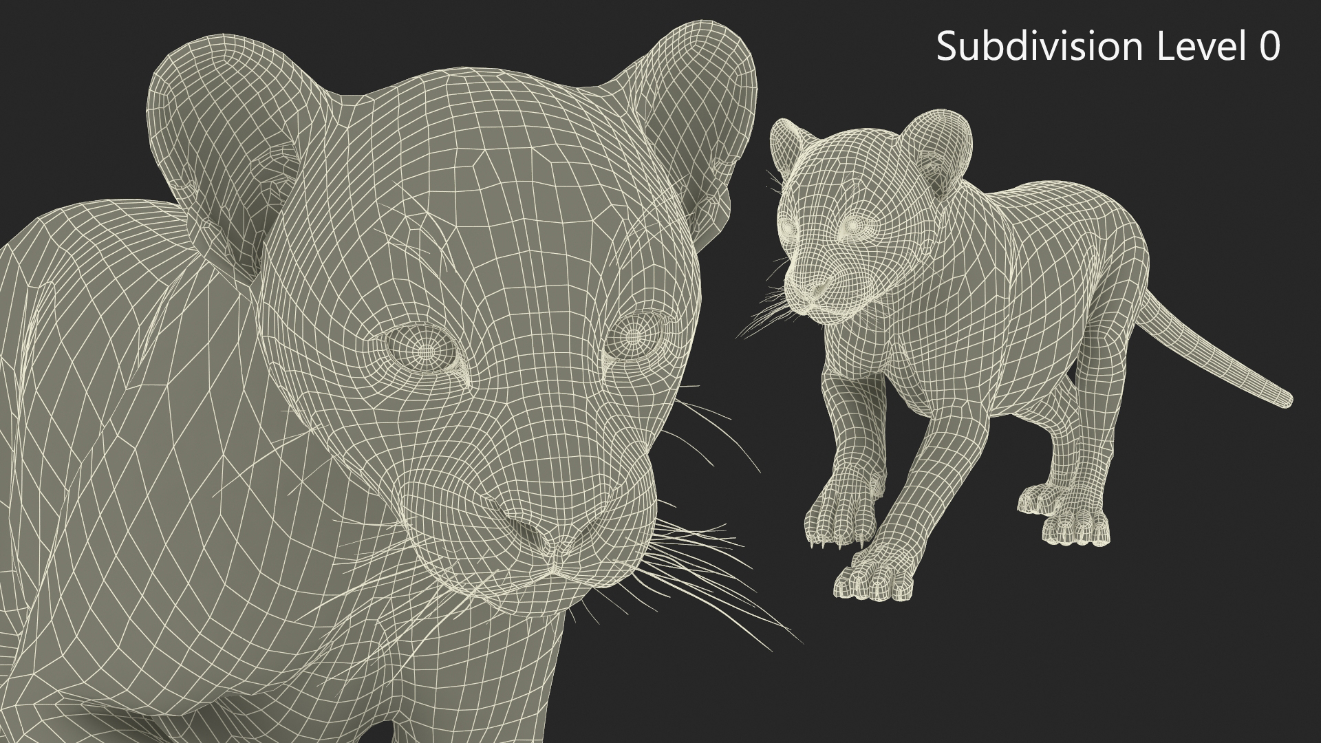 3D model Panther Cub Wary Pose Fur