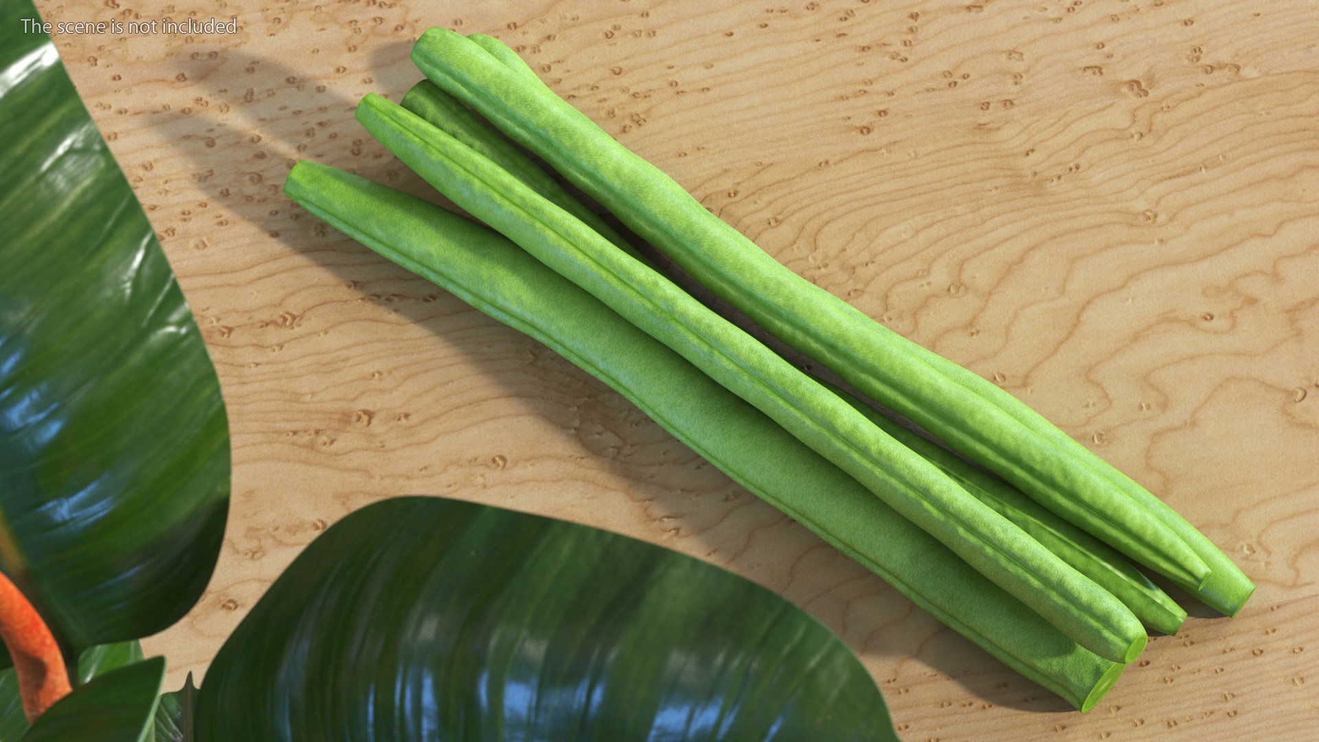 3D French Beans Cut