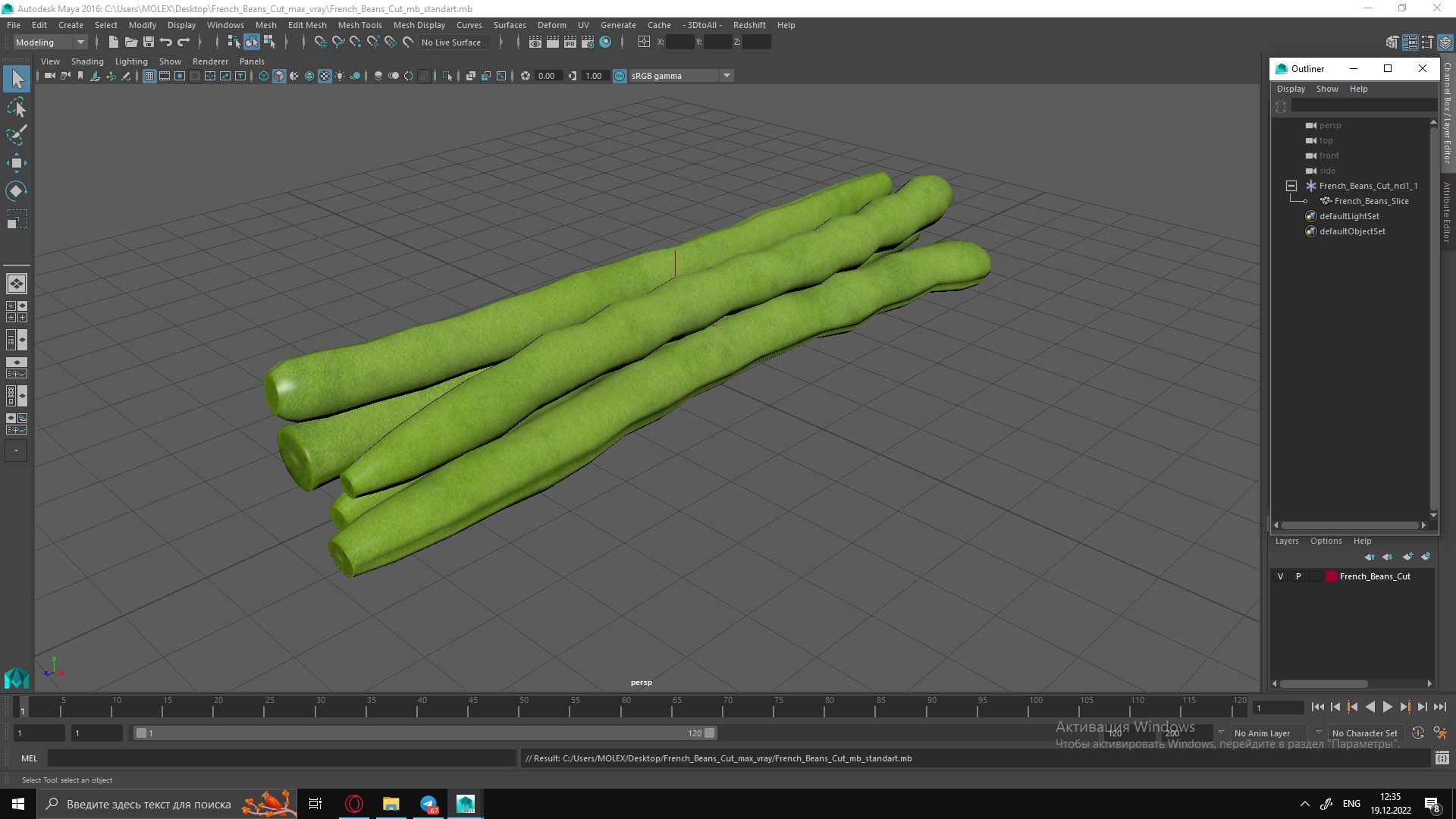 3D French Beans Cut