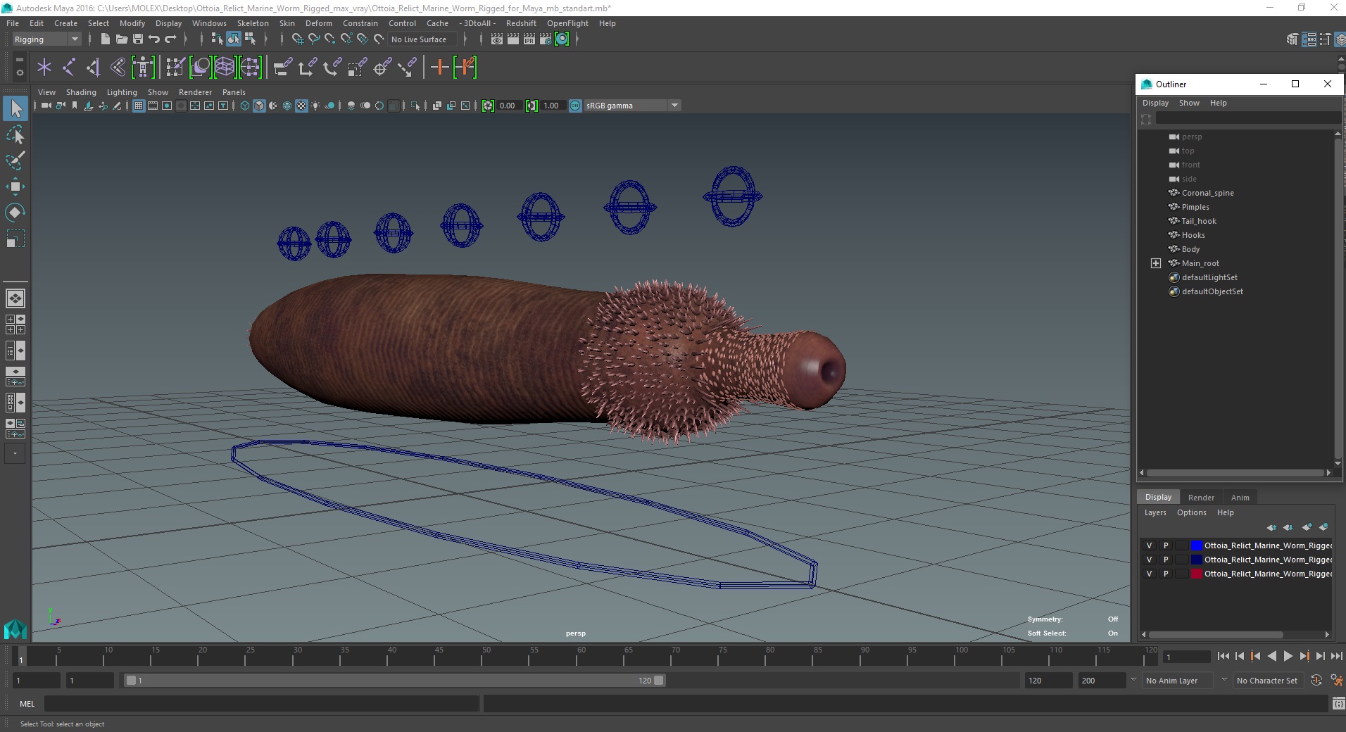 3D Ottoia Relict Marine Worm Rigged for Maya
