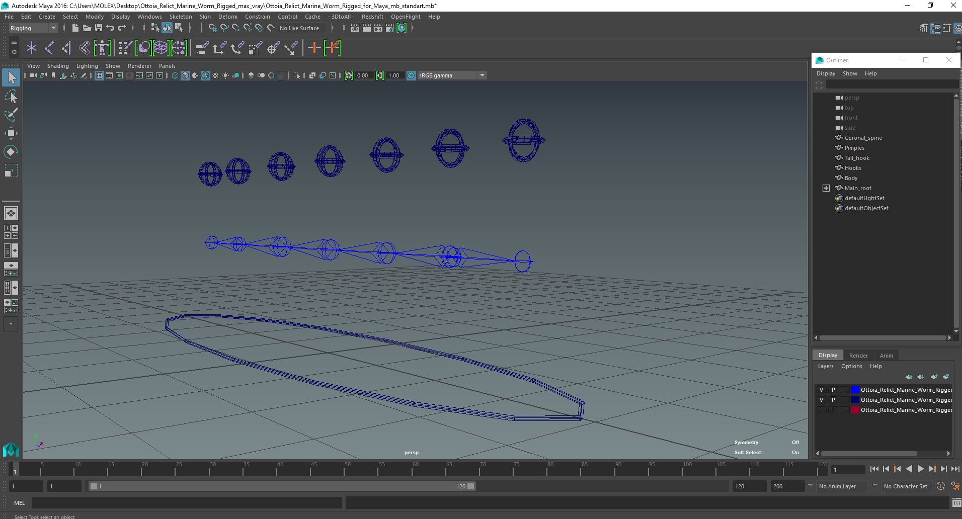 3D Ottoia Relict Marine Worm Rigged for Maya