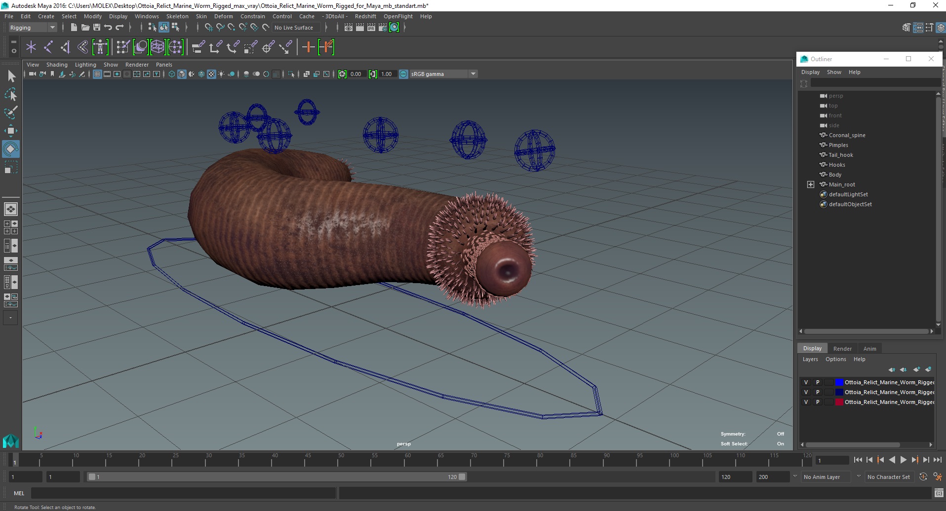 3D Ottoia Relict Marine Worm Rigged for Maya