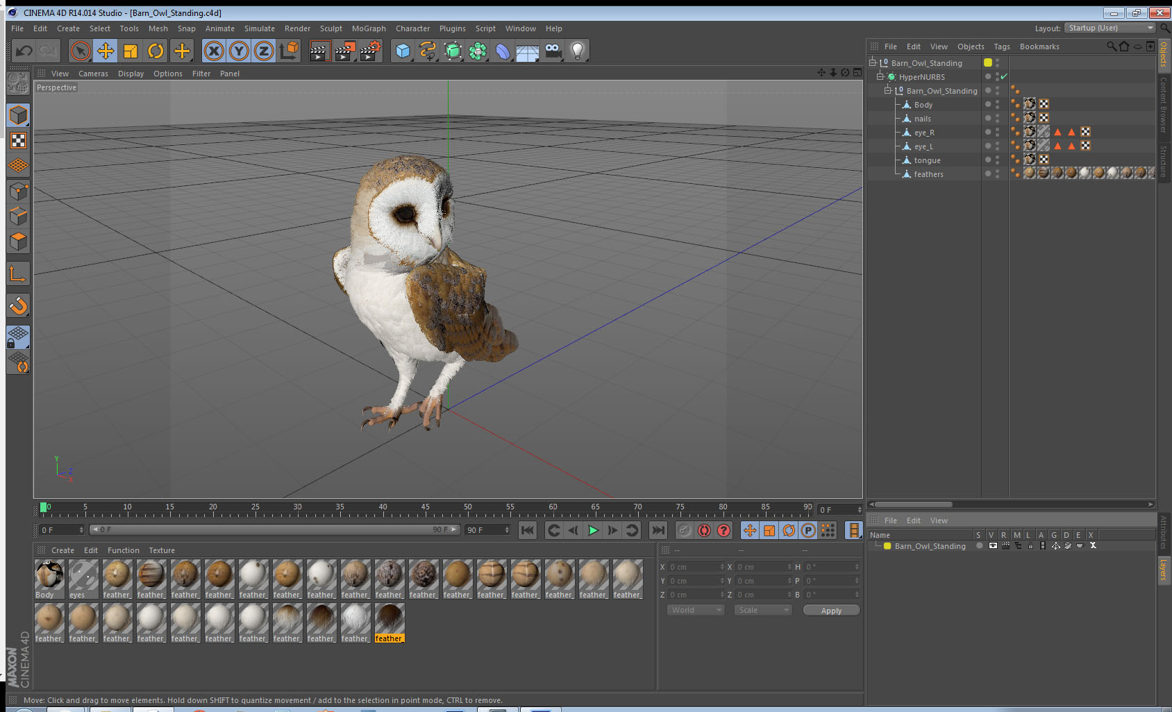 Barn Owl Standing 3D
