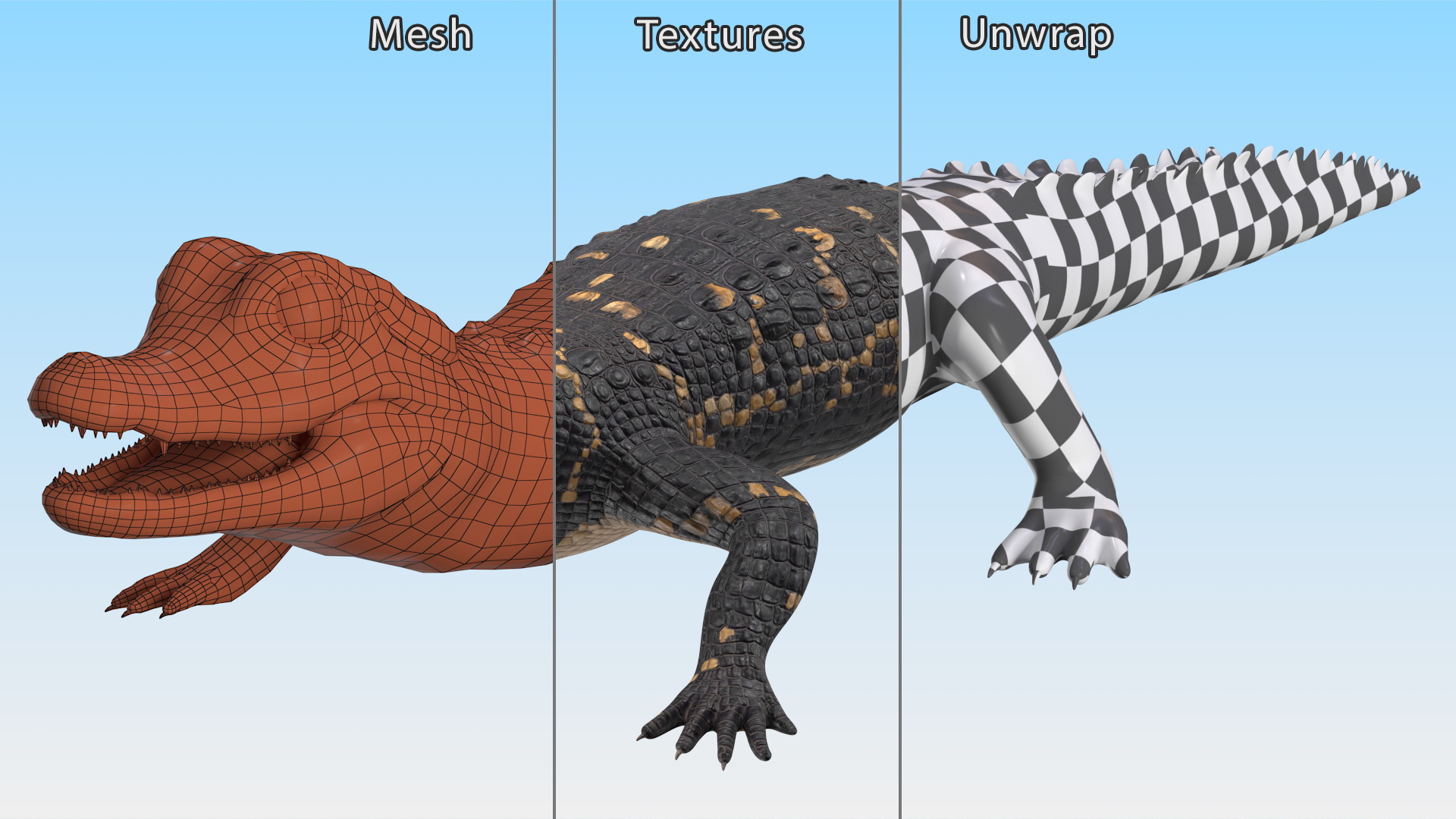 3D Black Caiman Baby Rigged for Maya model