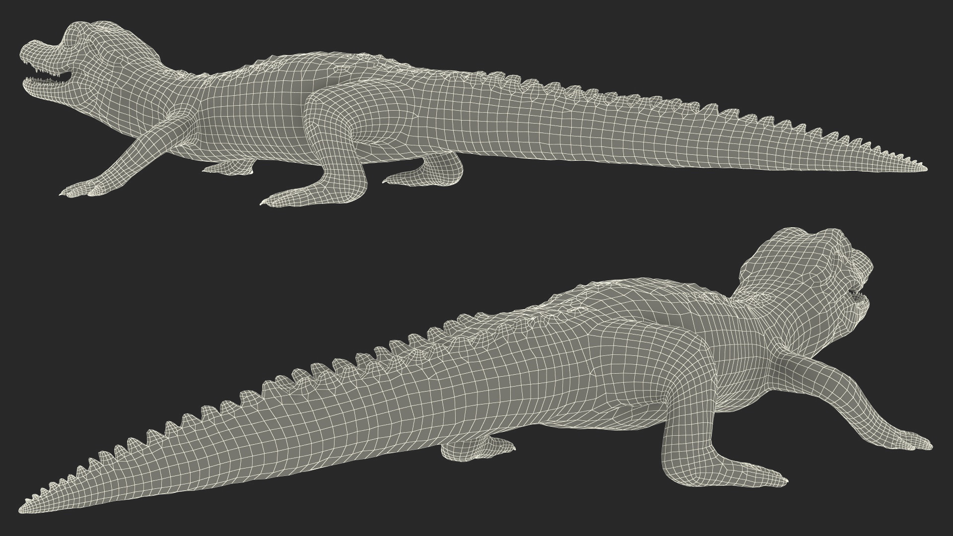 3D Black Caiman Baby Rigged for Maya model