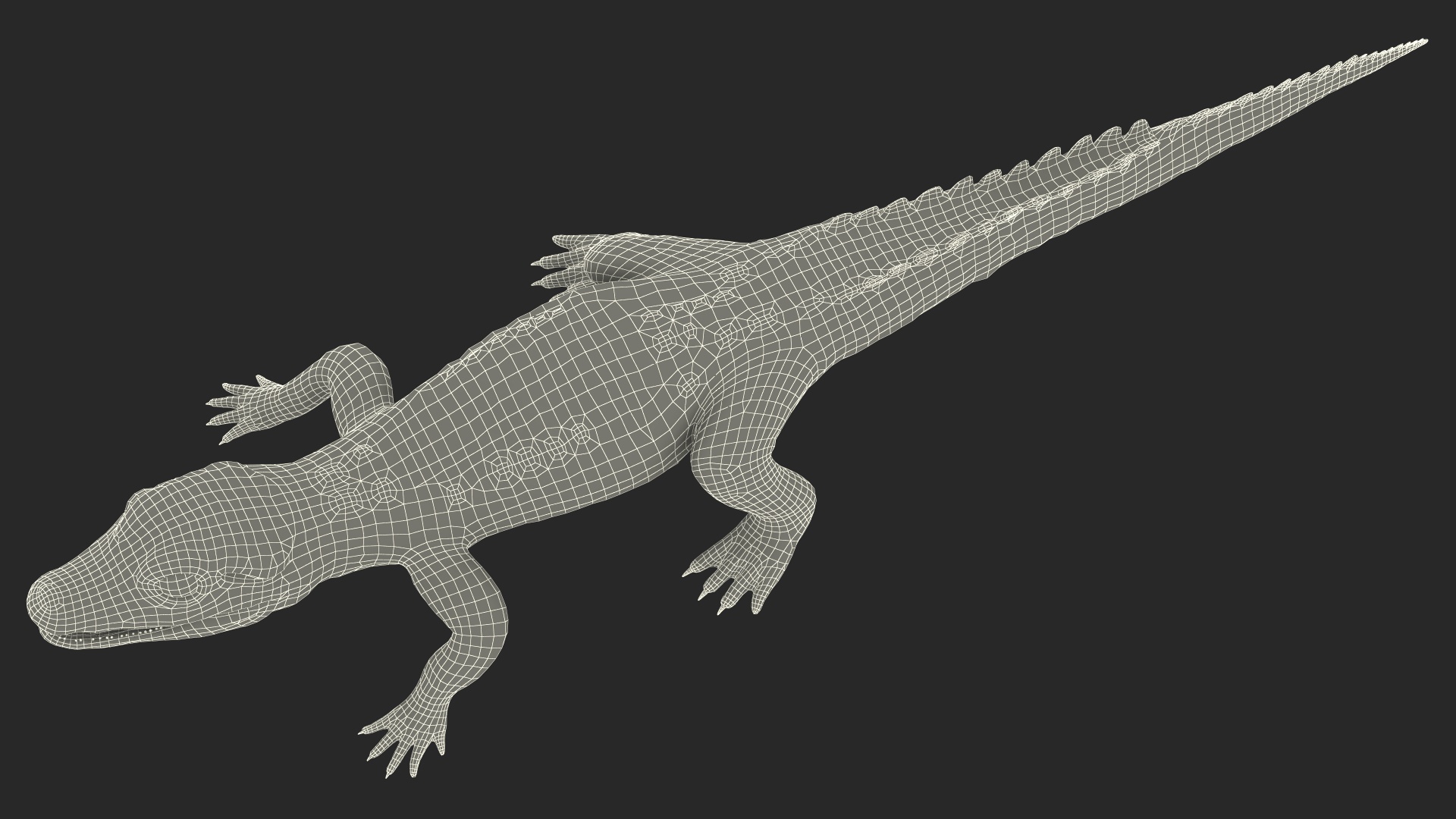 3D Black Caiman Baby Rigged for Maya model
