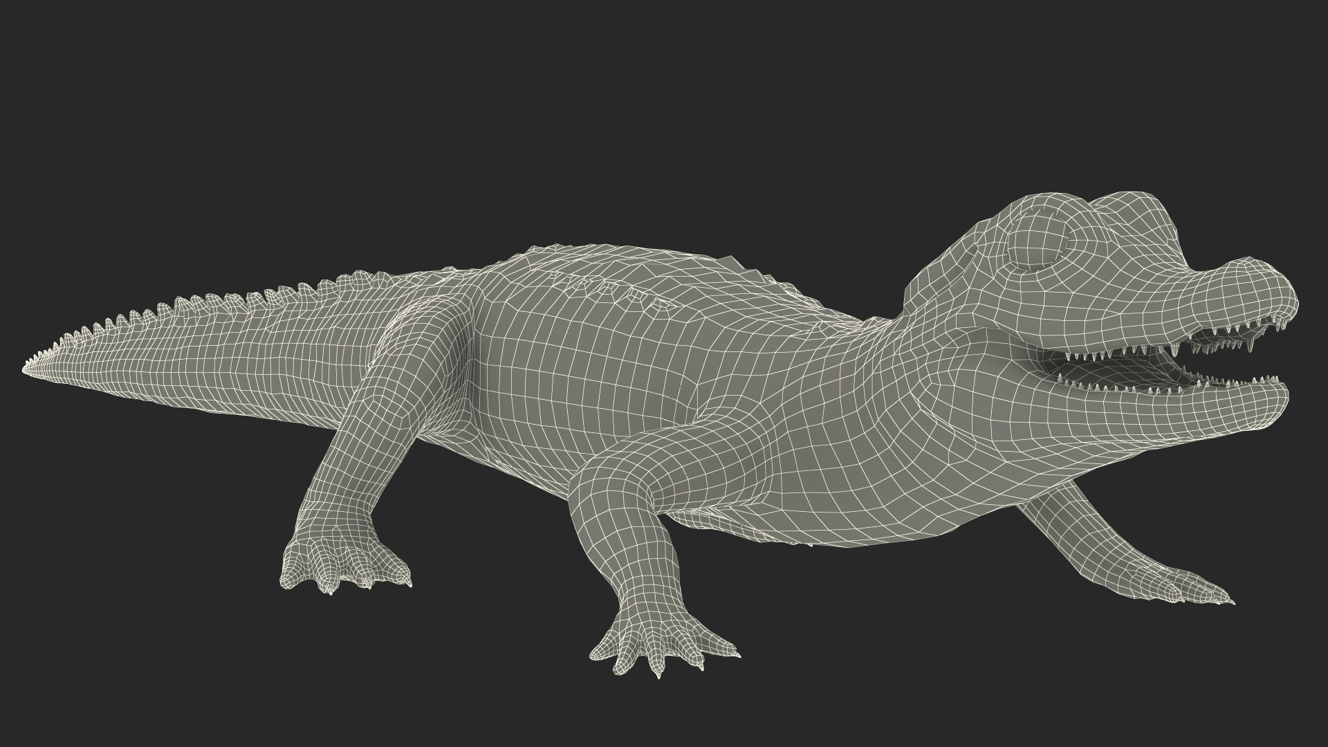 3D Black Caiman Baby Rigged for Maya model