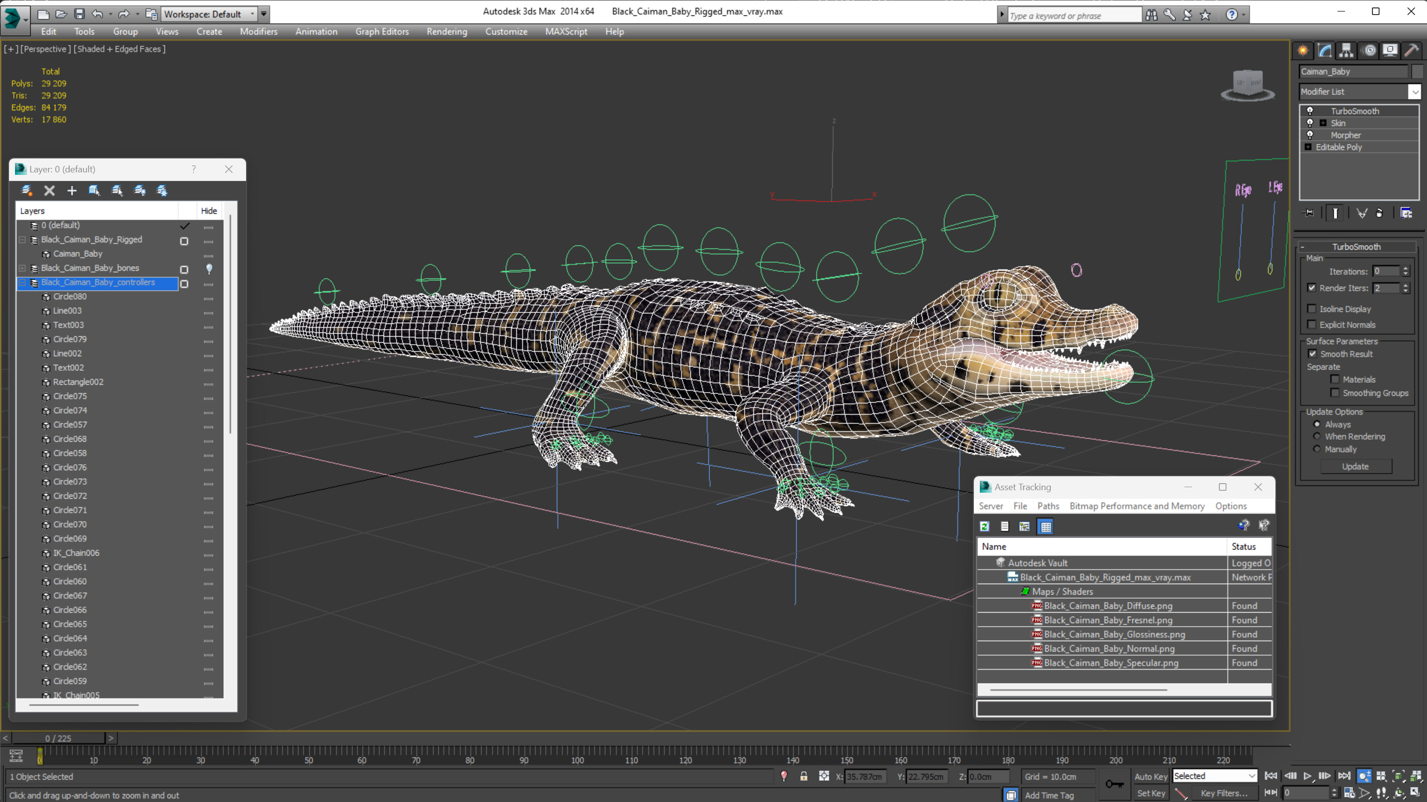 3D Black Caiman Baby Rigged for Maya model
