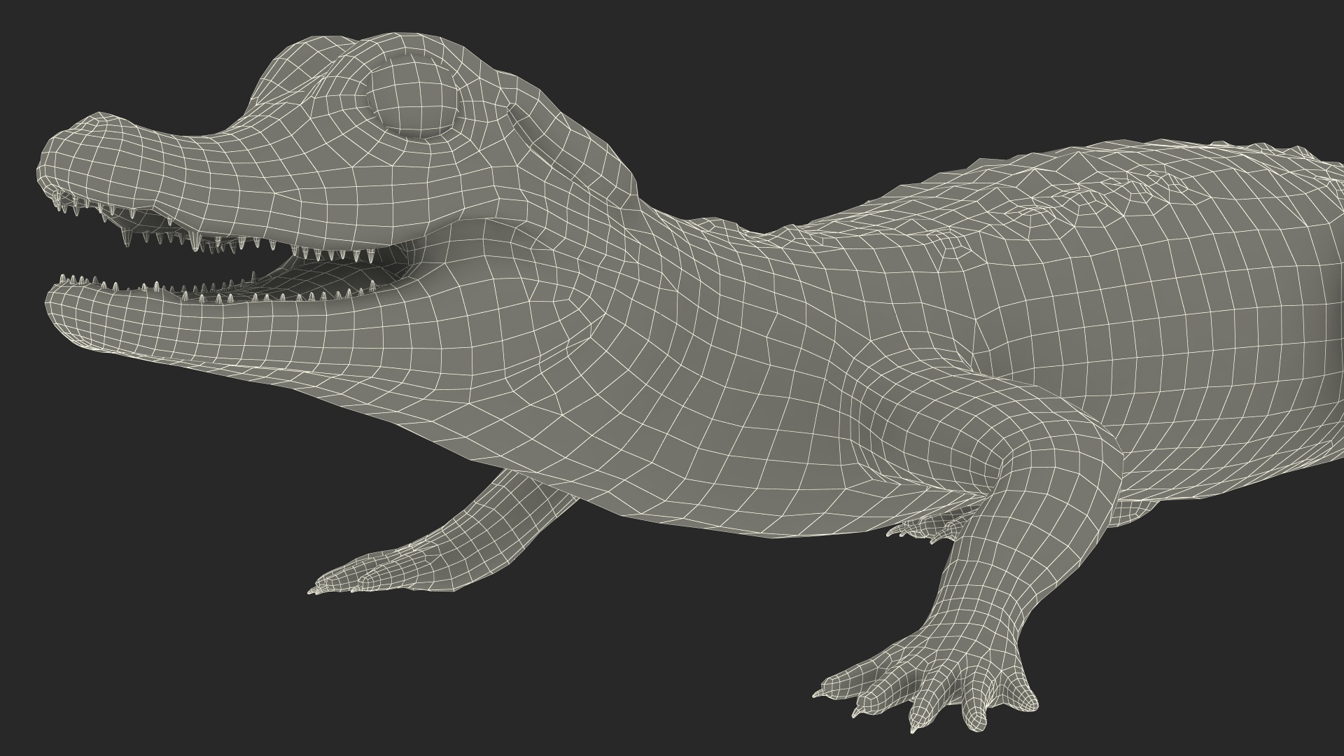 3D Black Caiman Baby Rigged for Maya model