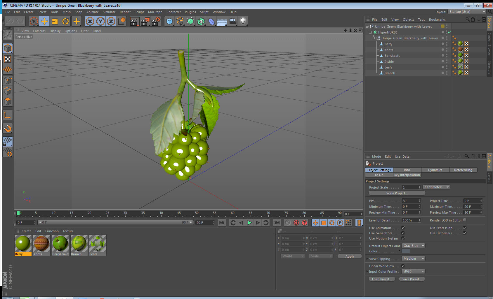 3D model Unripe Green Blackberry with Leaves