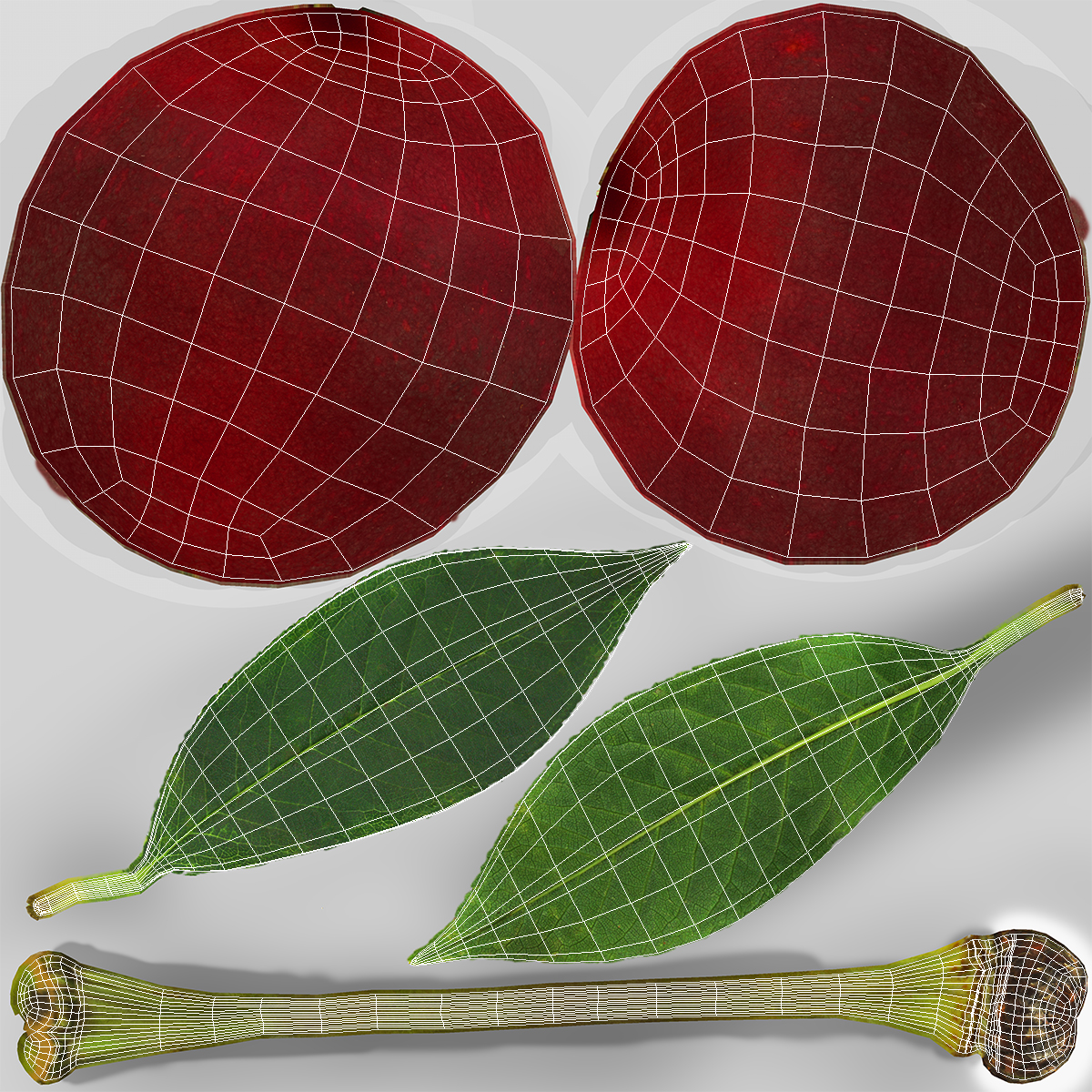 3D Sour Cherry with Leaf