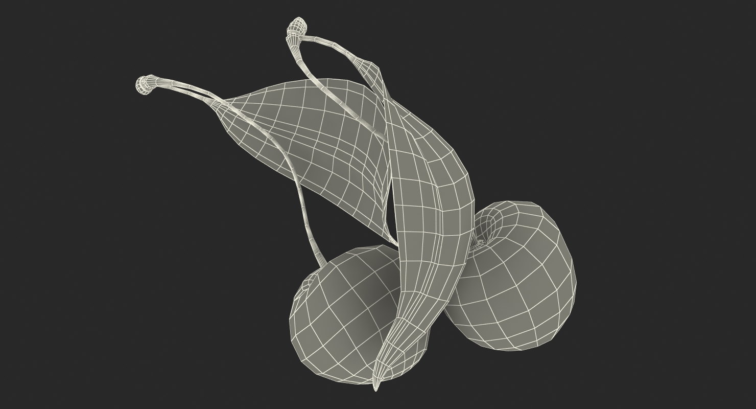 3D Sour Cherry with Leaf