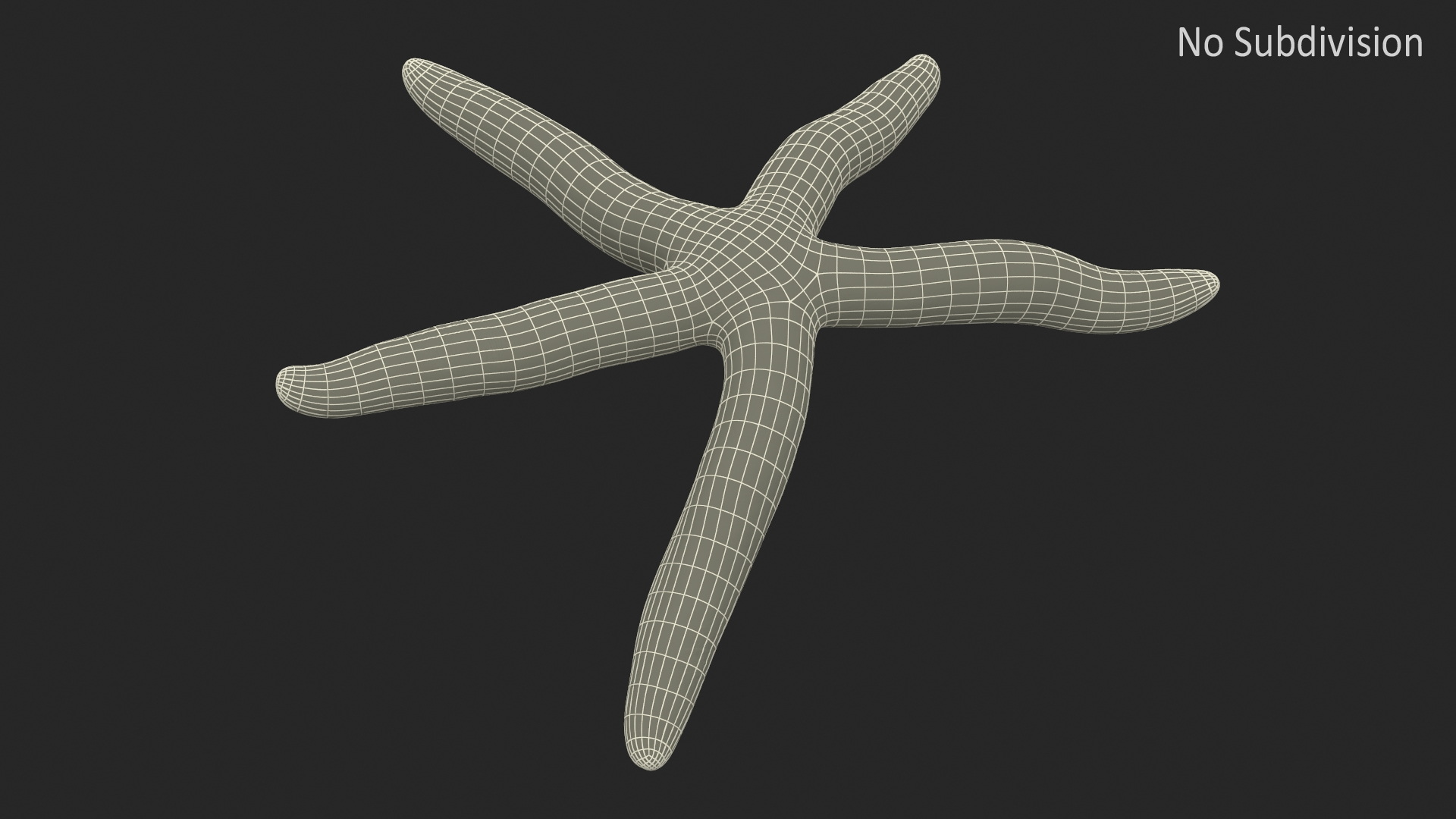 3D Pacific Blue Seastar Lying Pose