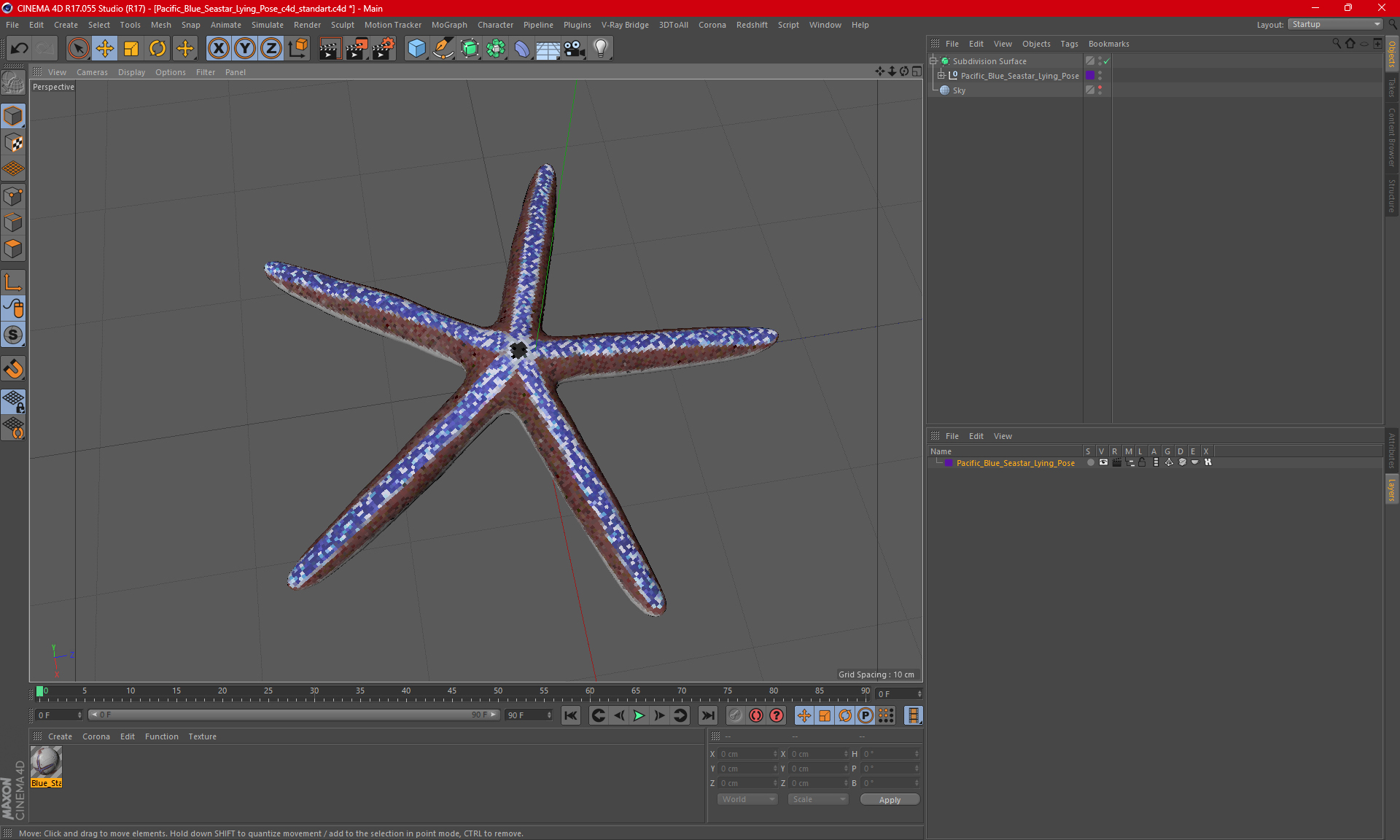 3D Pacific Blue Seastar Lying Pose
