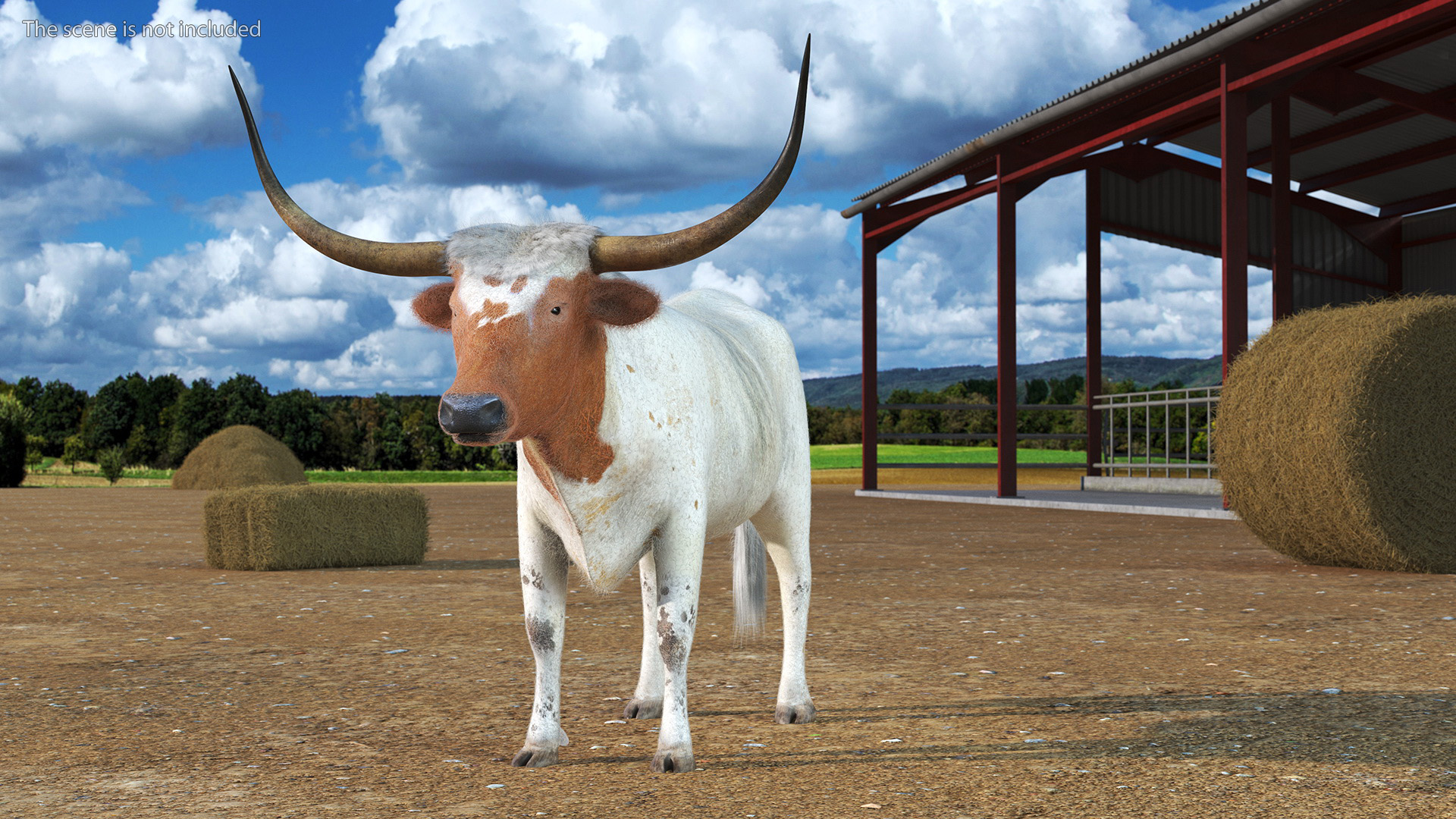 3D model Texas Longhorn White Color Fur