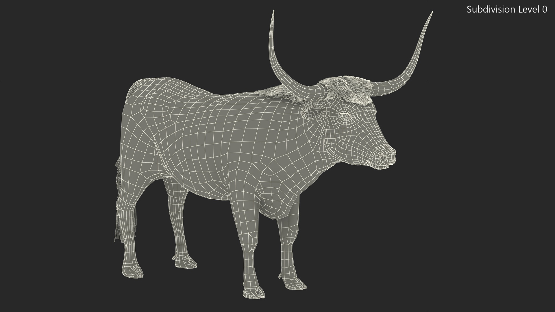 3D model Texas Longhorn White Color Fur